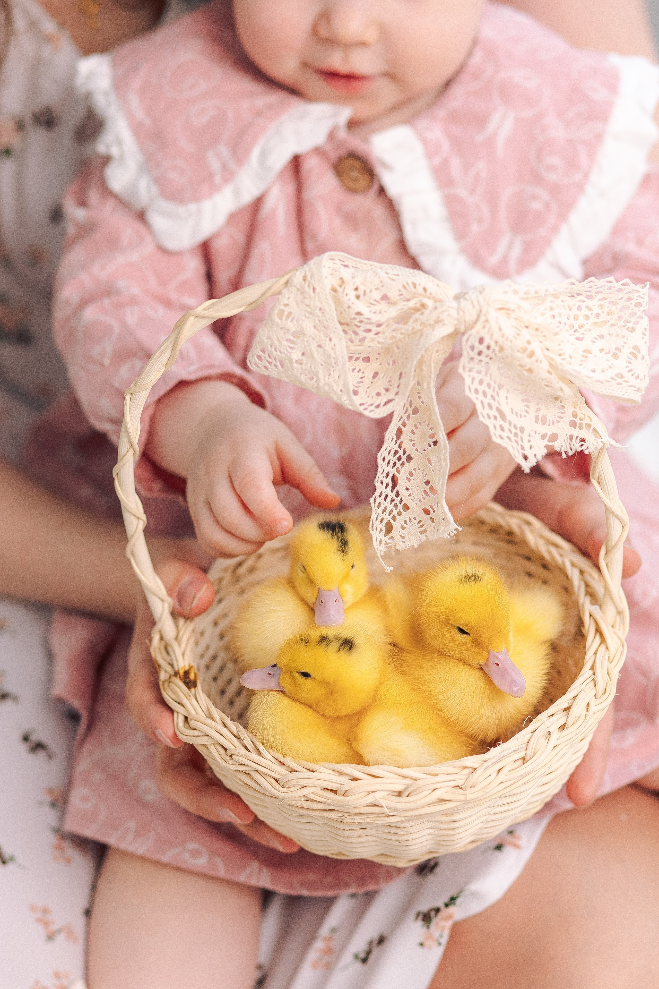 Фотограф в Санкт-Петербурге, Анна Скворцова