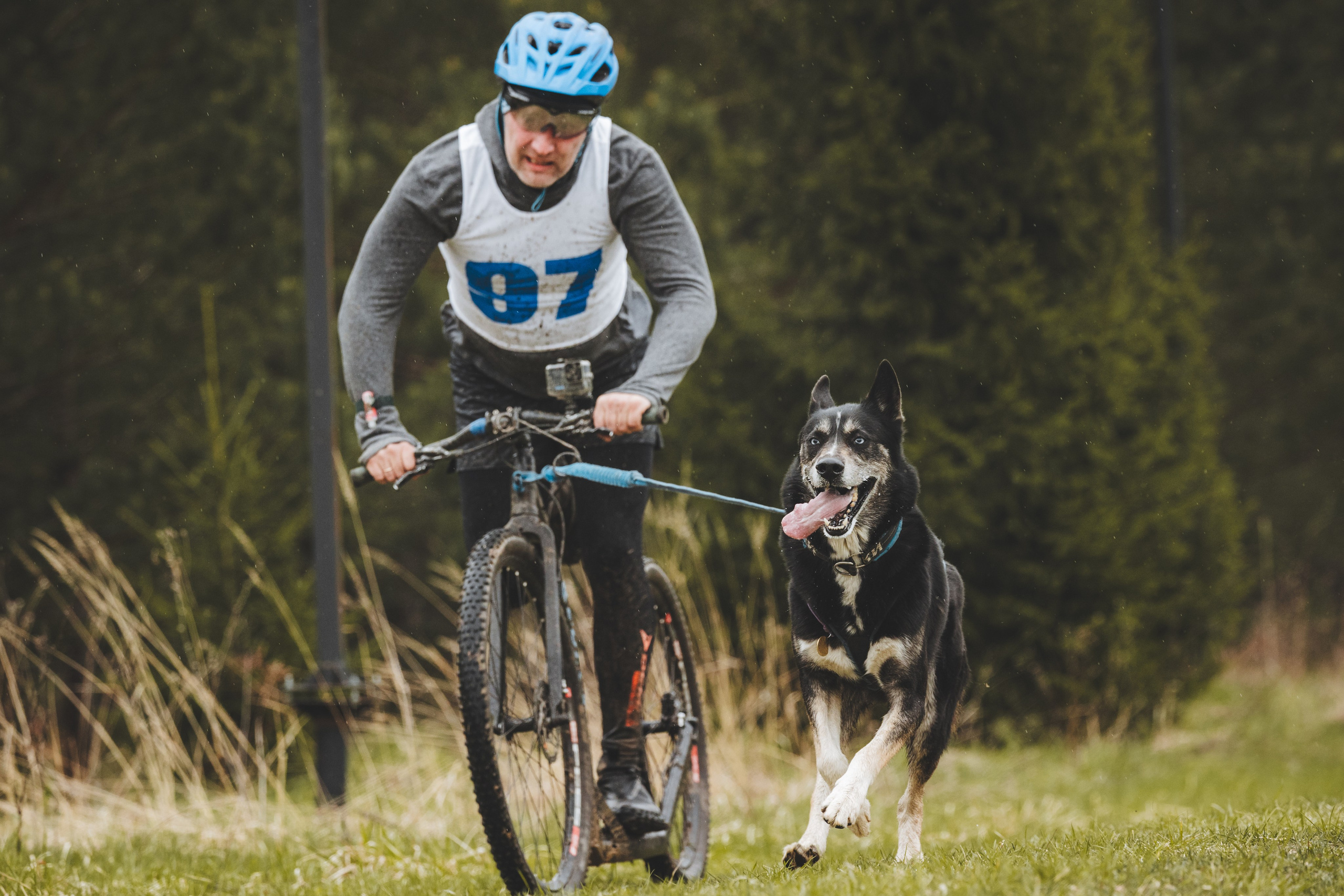 Почёвинский драйдленд. Фотограф Ирина Астор