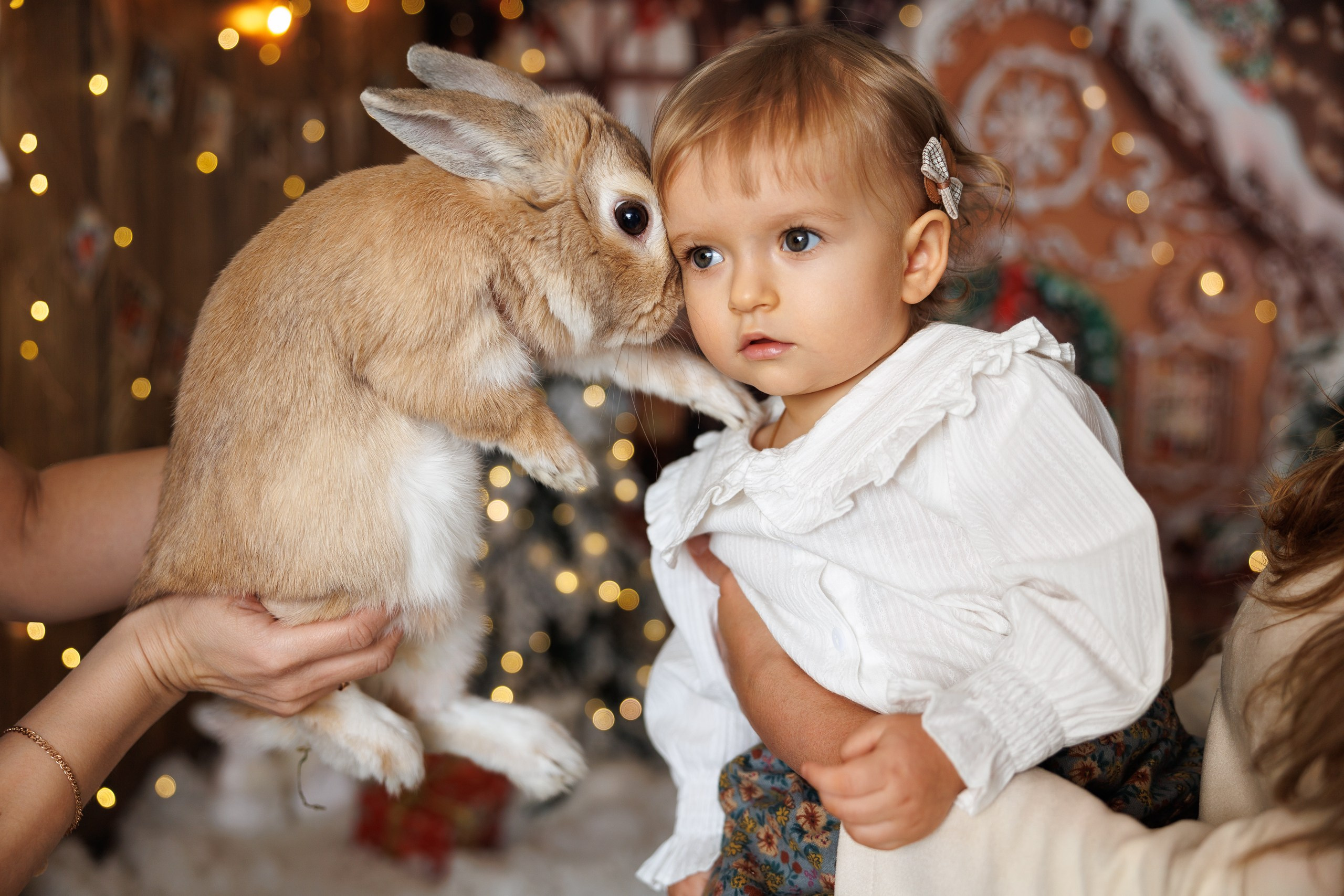 Семейная Съемка. Костин Евгений | Фотограф на свадьбы и мероприятия во Владимирской области