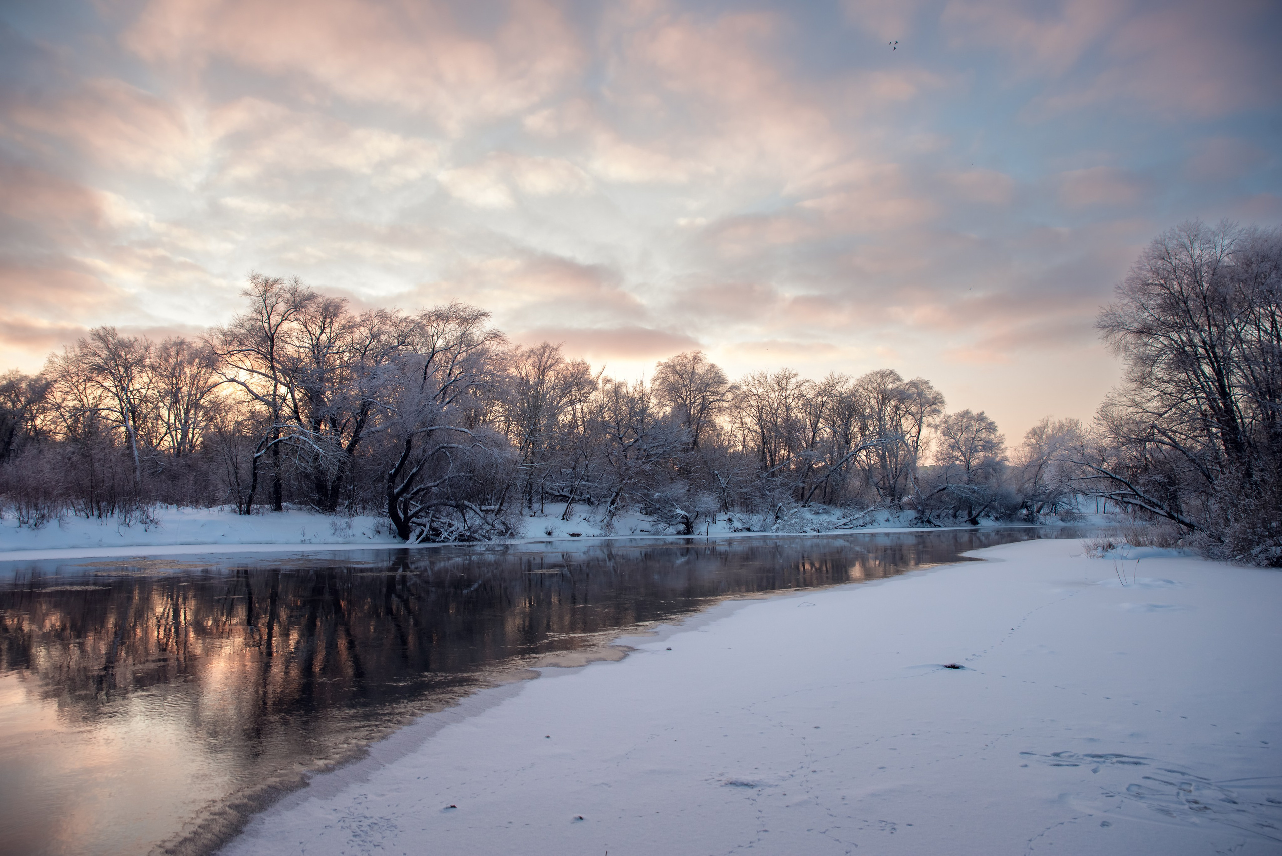Зимушка зима. Фотограф Крещение Венчание Москва