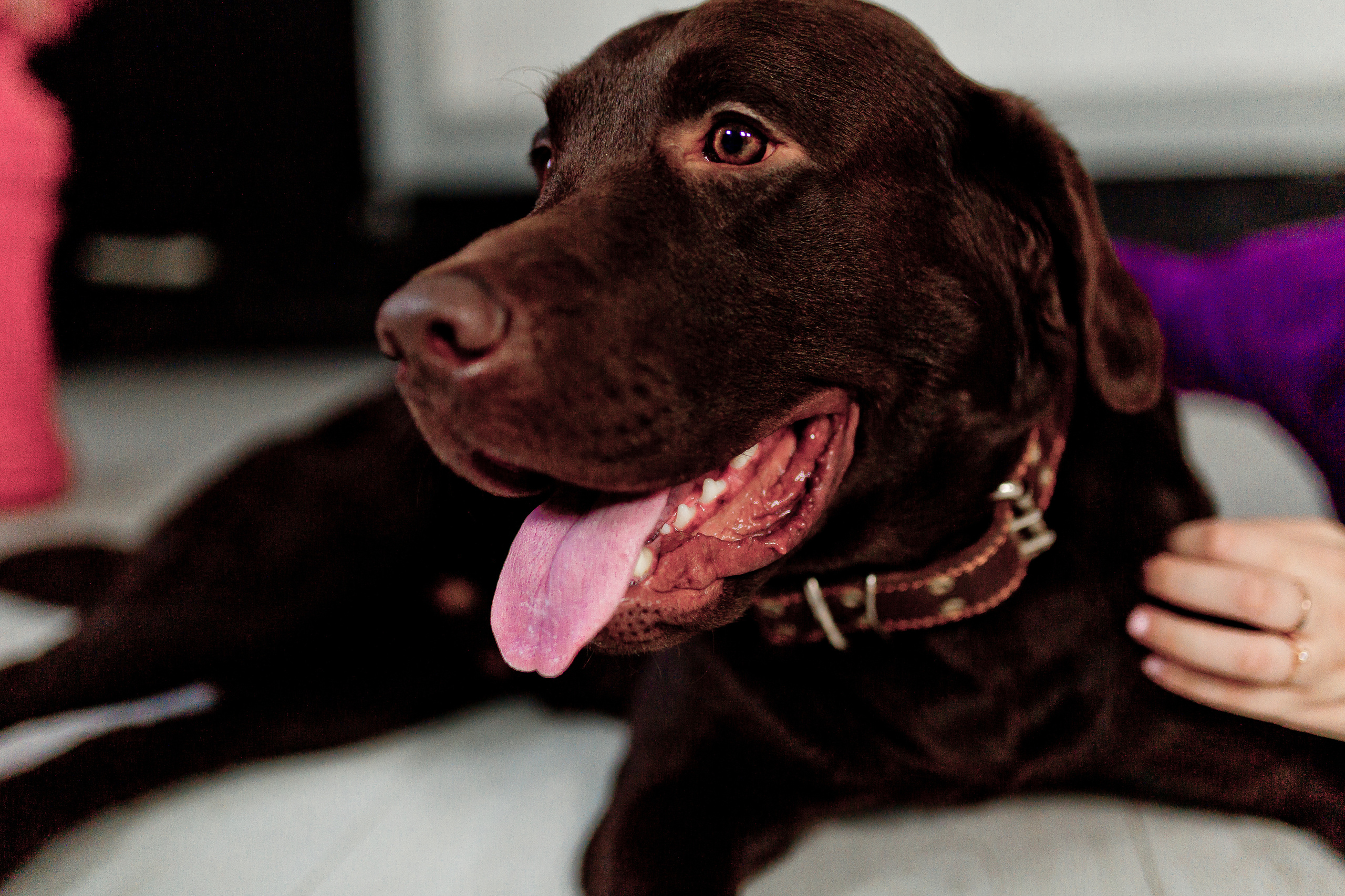 Видеопортрет девушки