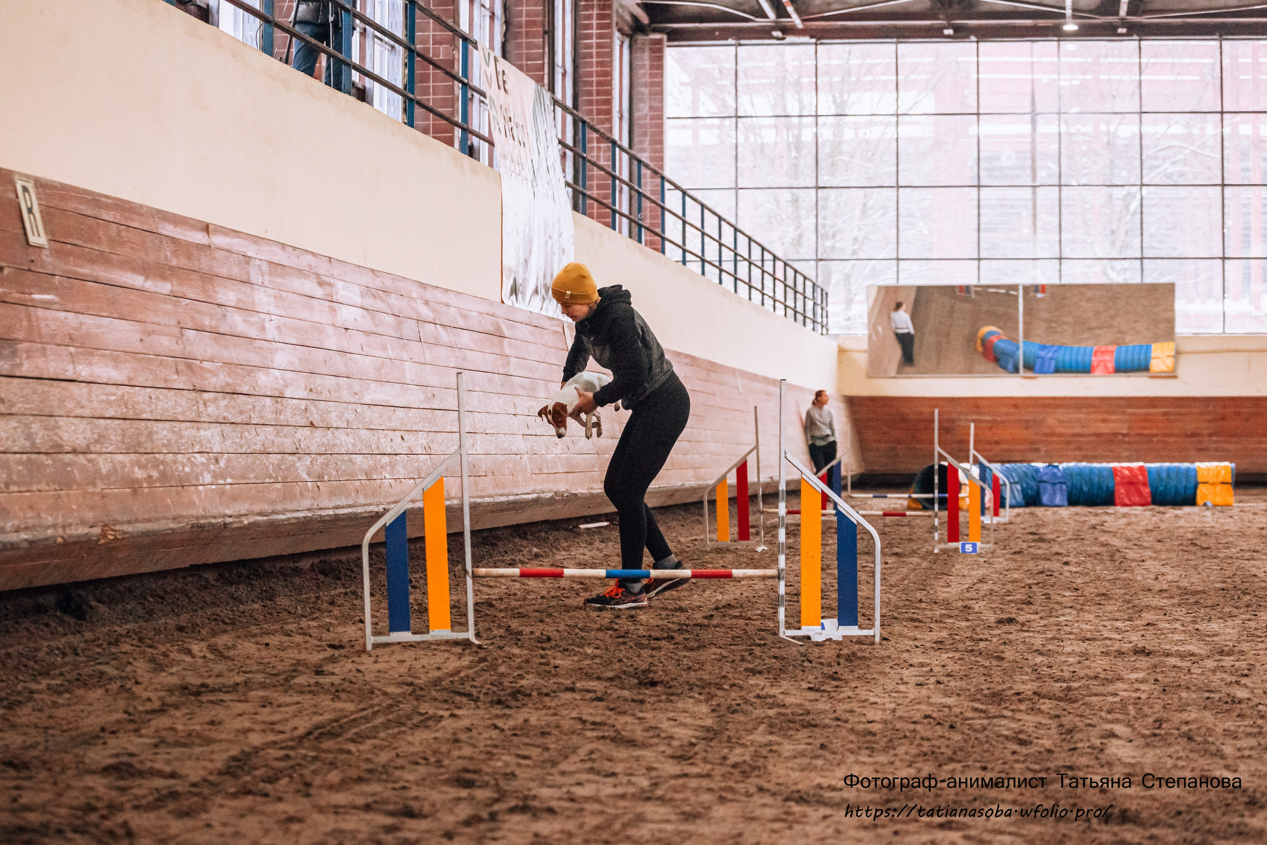 Соревнования по Аджилити 25.02.2024. Фотограф-анималист Татьяна Степанова