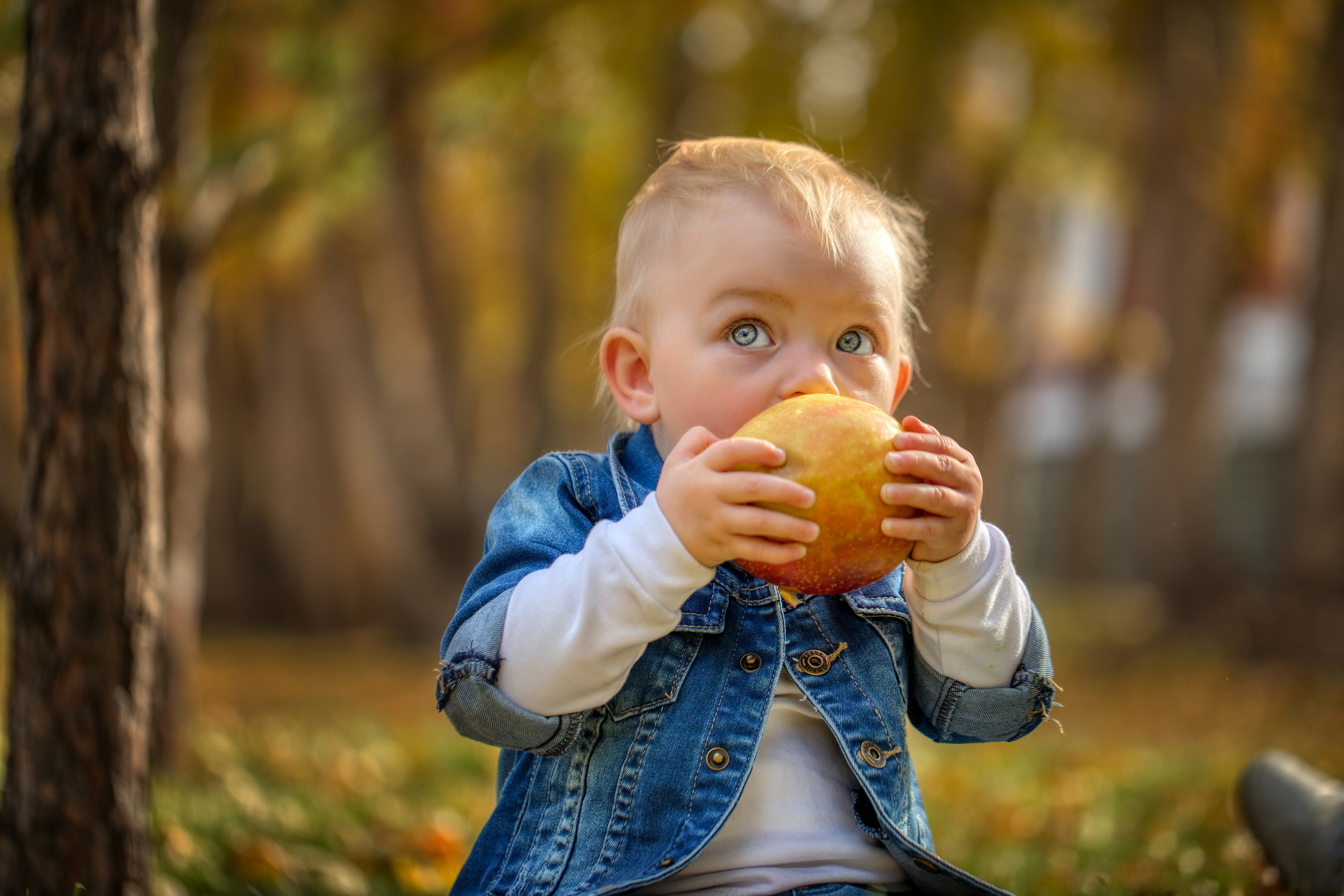 Детишки. Семейный и Свадебный фотограф в Астане Александр Астапов