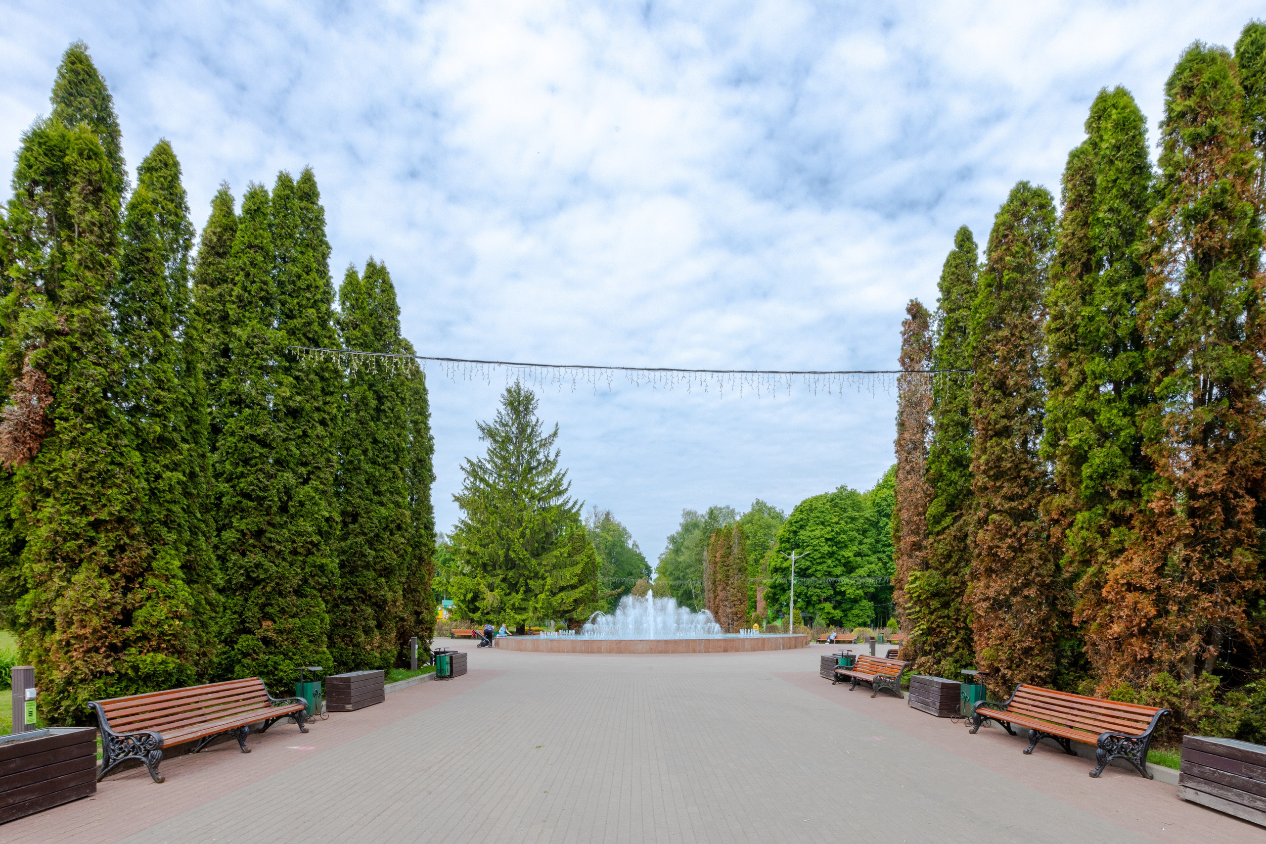 Парк им. П. П. Белоусова г. Тула 2024 г. Фотограф в Туле Крупский АнДРей. Фотостудия «КАДР71» в Туле