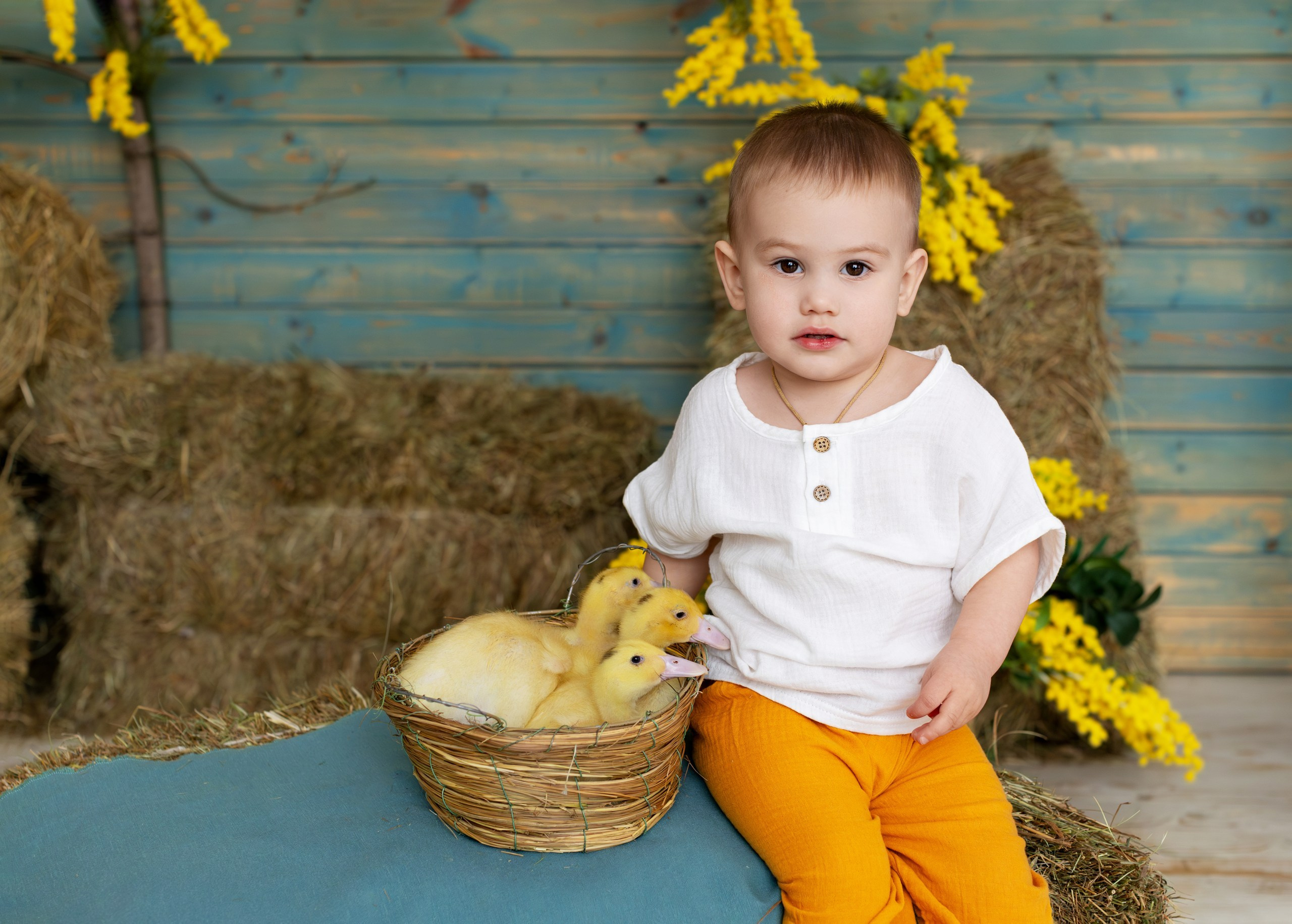 Фотосесии с Утятами и Кроликами (Пасхальные Фотосессии). Семейный и Детский фотограф в Москва Скворцова Татьяна