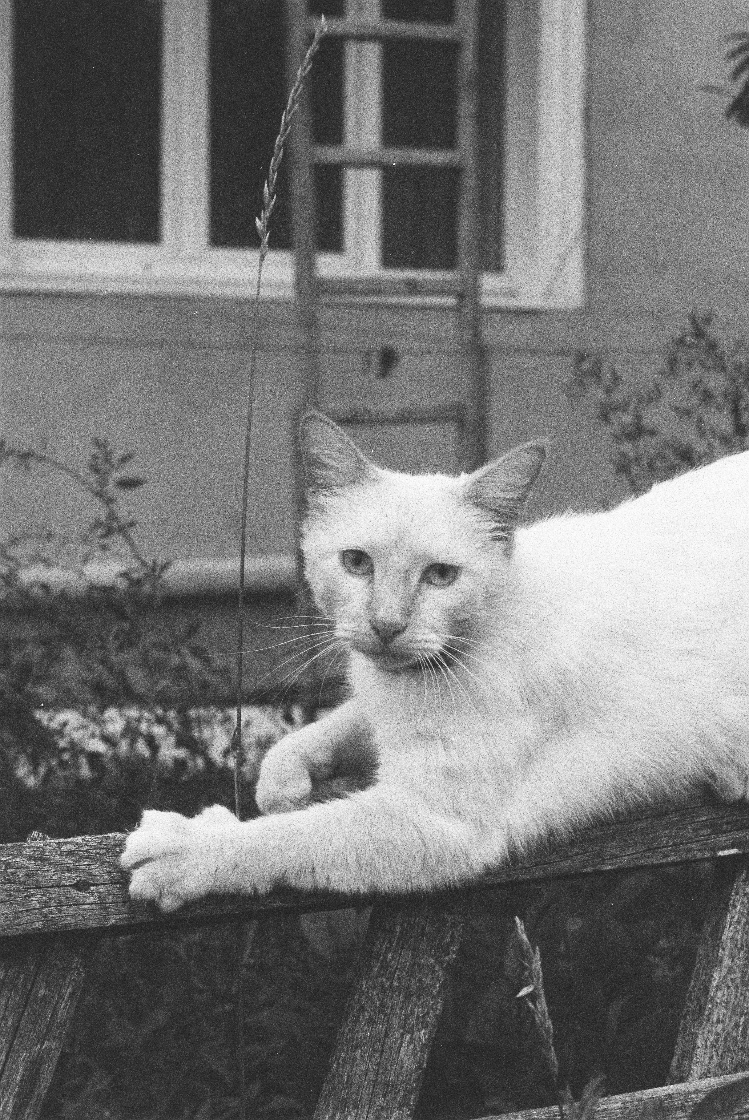 Одиночные работы. Арт-фотограф Романда Ч Нижний Новгород