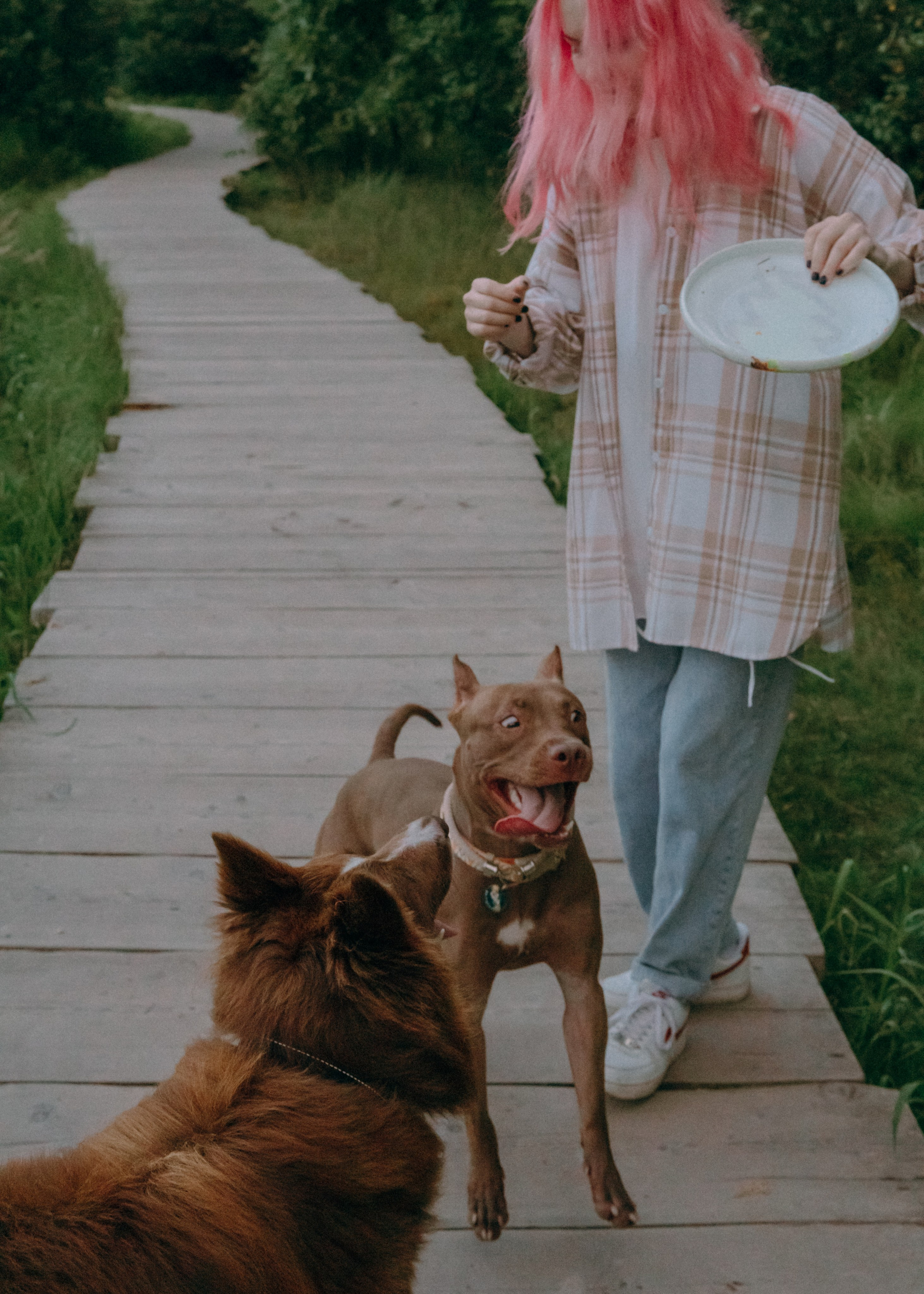 Виолетта, Лила и Питер. Фотограф-анималист Ксения Воробьева, Москва