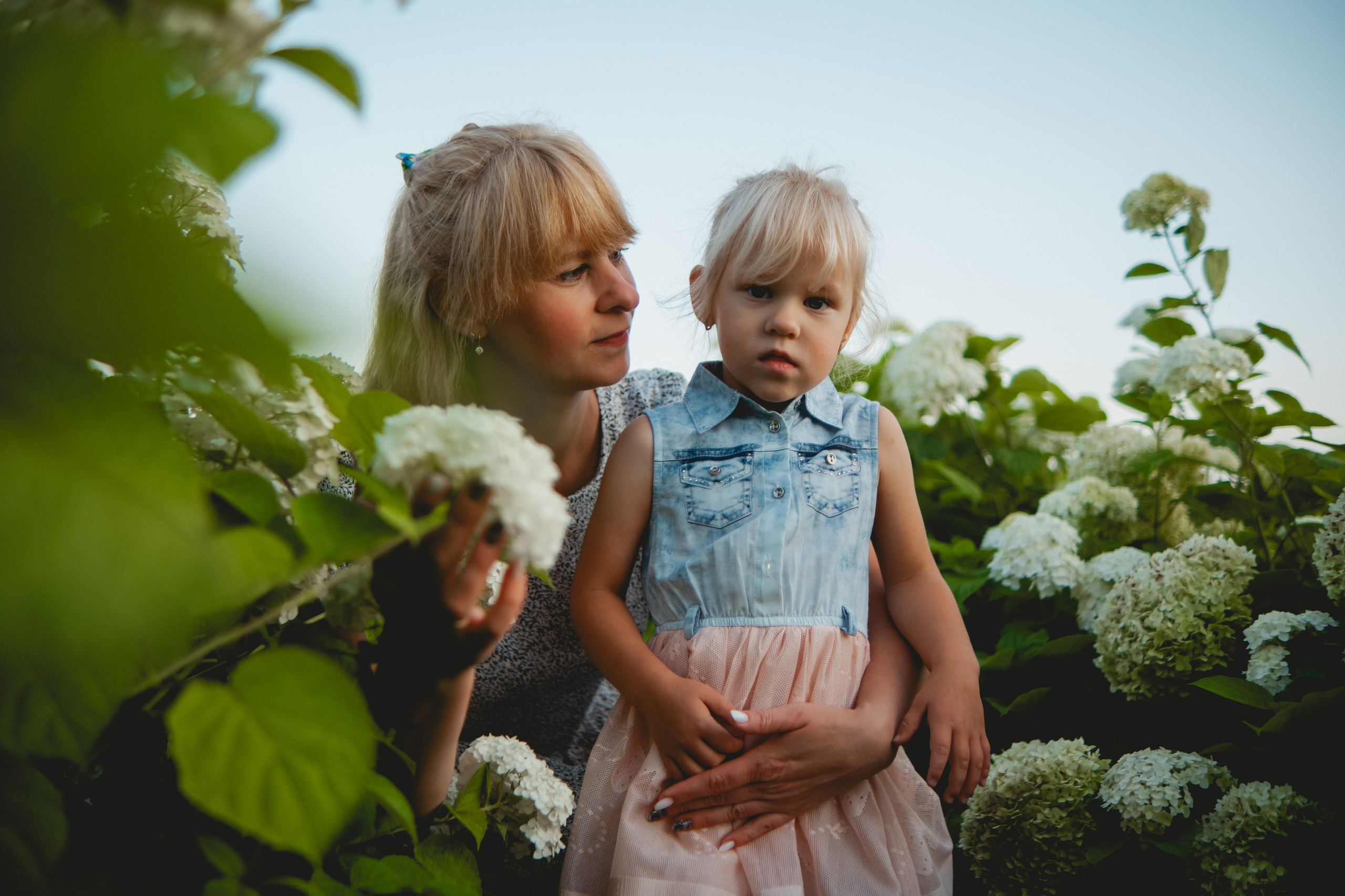 Семейная съемка в лованде. Nattie.ph