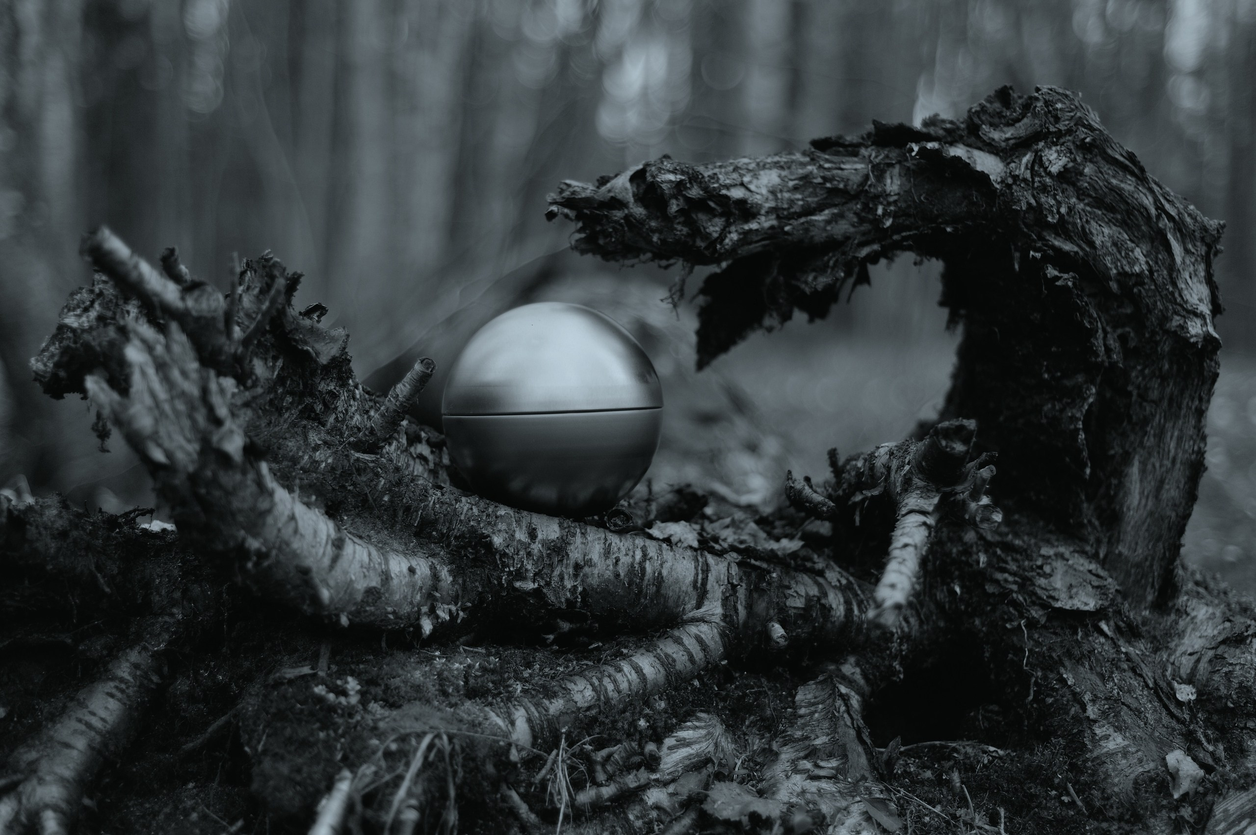 На грани Миров. Катерина Михеева