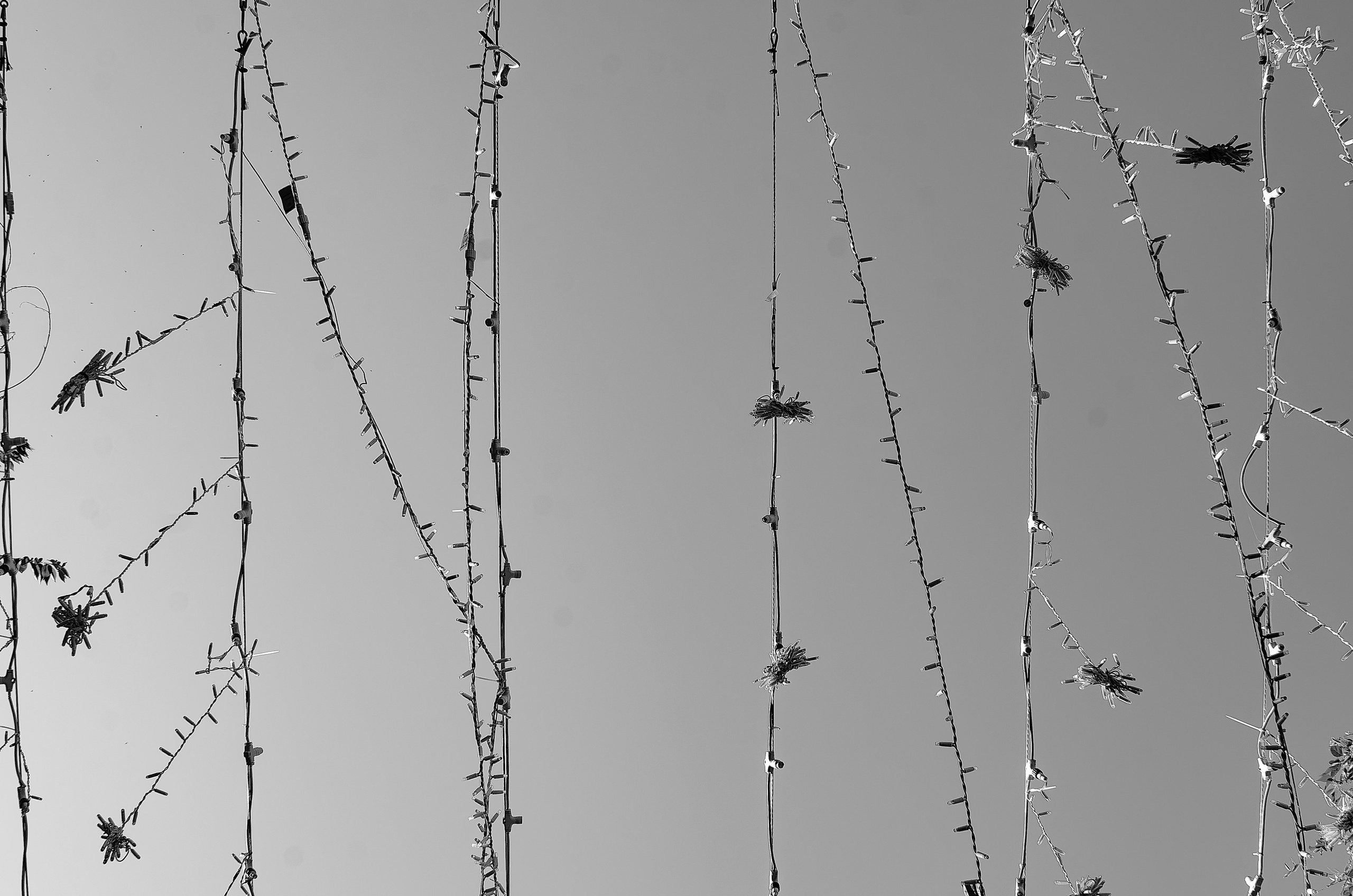 Architechture of Orenburg. Sreda fotoArt