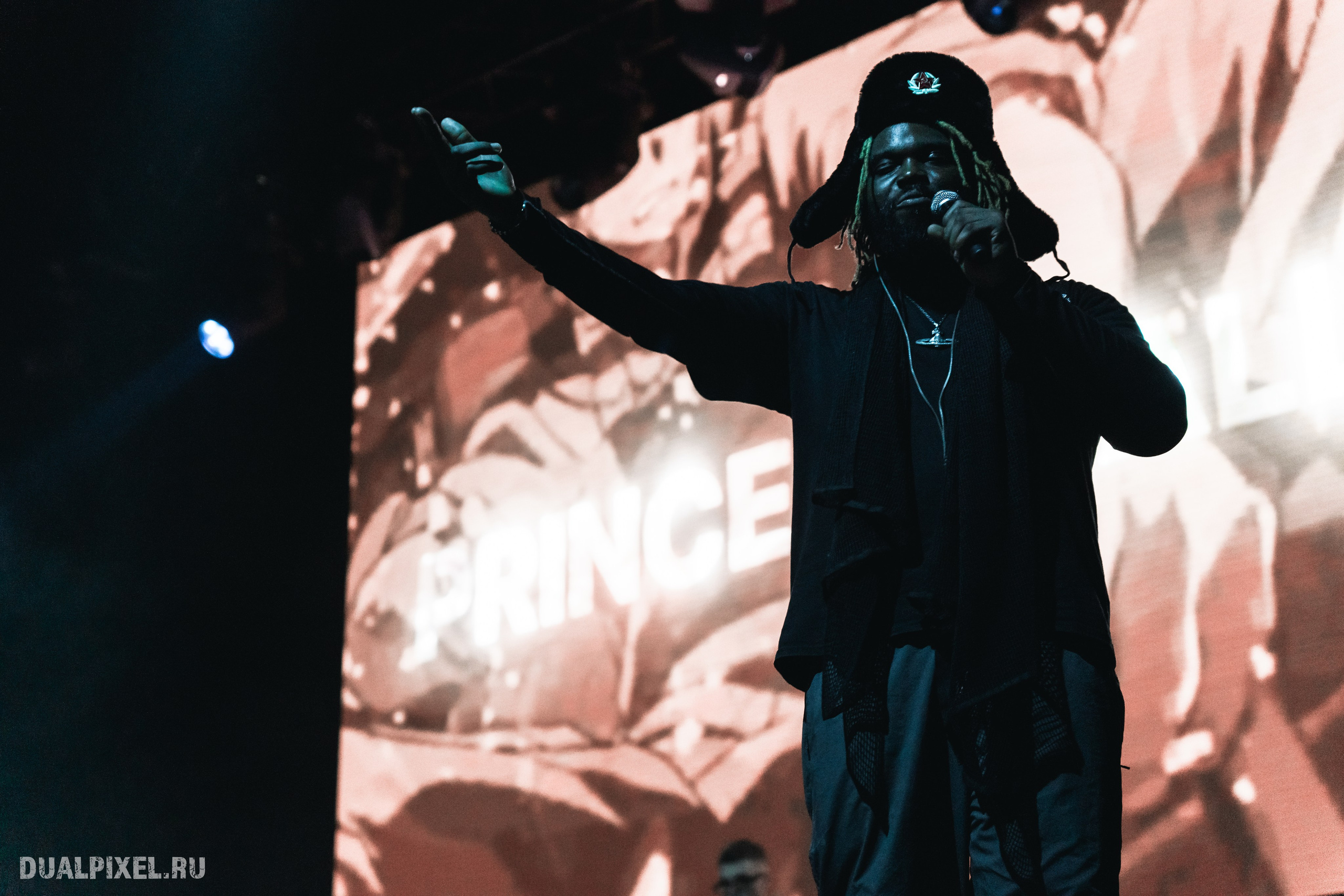 Prince Of Falls. Магия музыки в кадре: Концертная Фотография