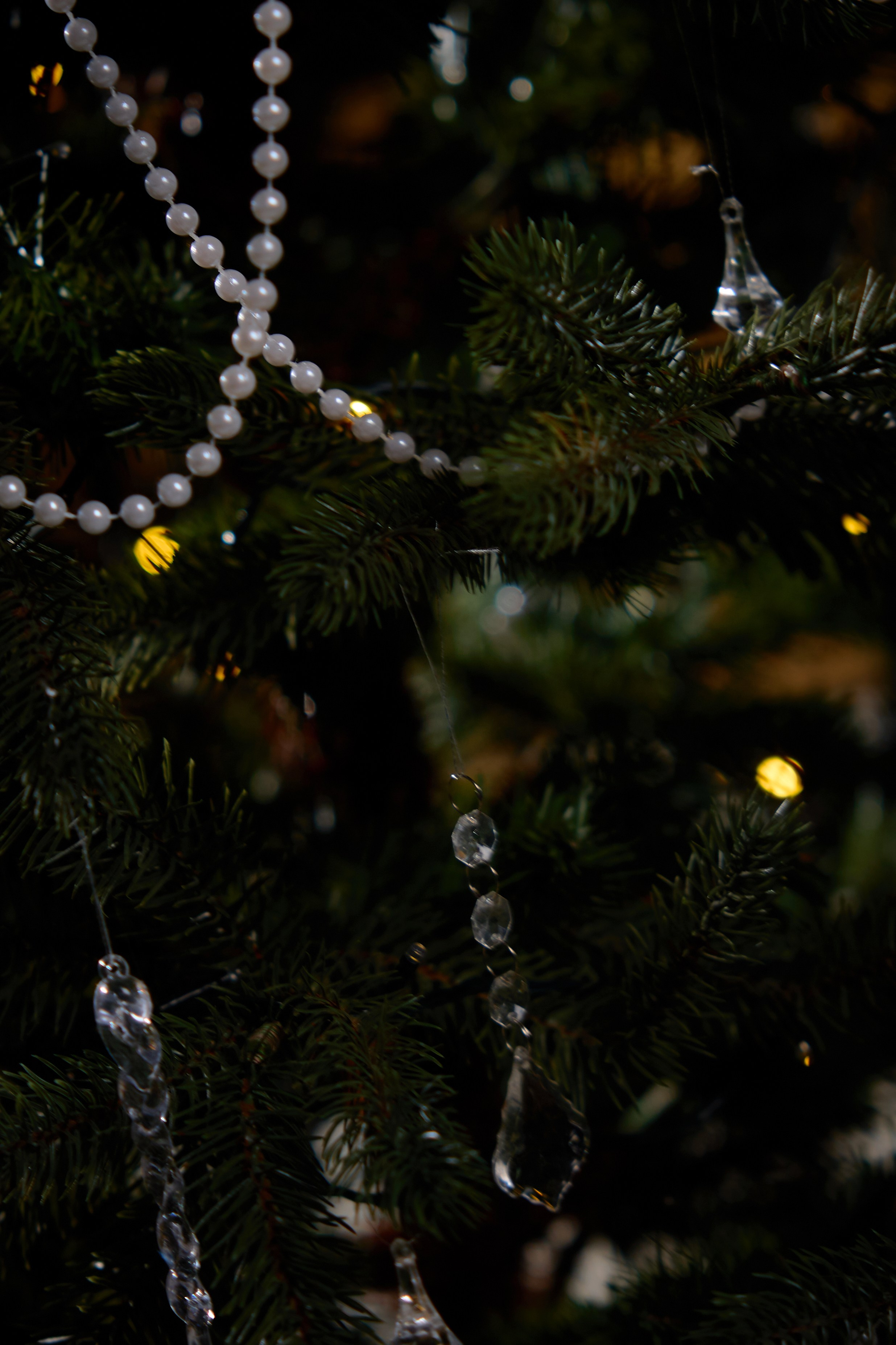 ZAPAD. Фотограф Люся Воробьева