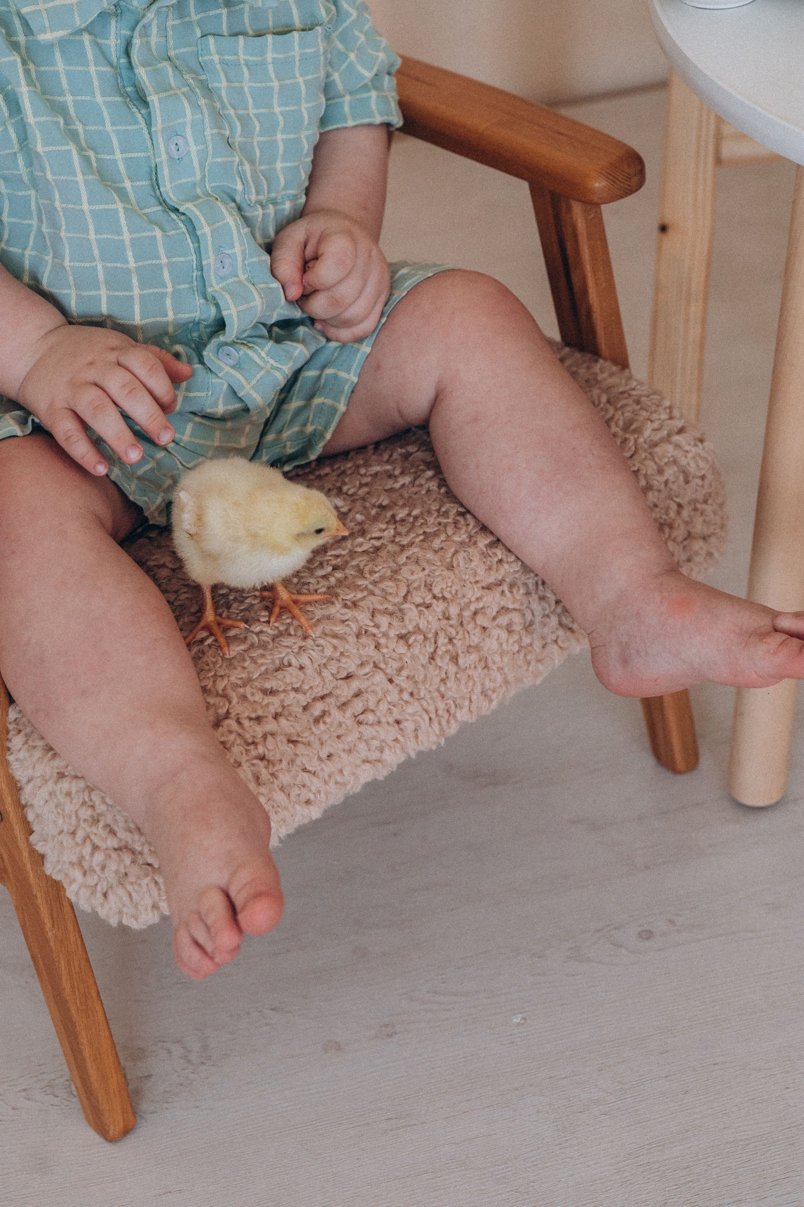 С цыплятами. Семейный фотограф Нижневартовск Тюмень Ефимова Ирина