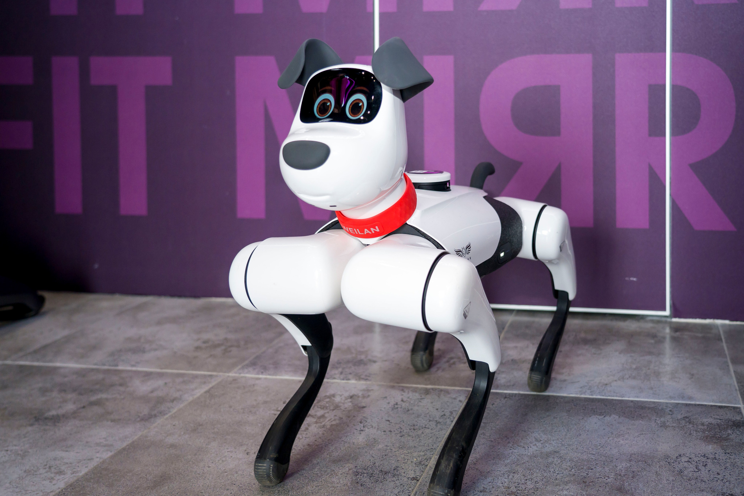 Фитнес-студия. Фотограф в Санкт-Петербурге. Репортажная и все съёмки для бизнеса