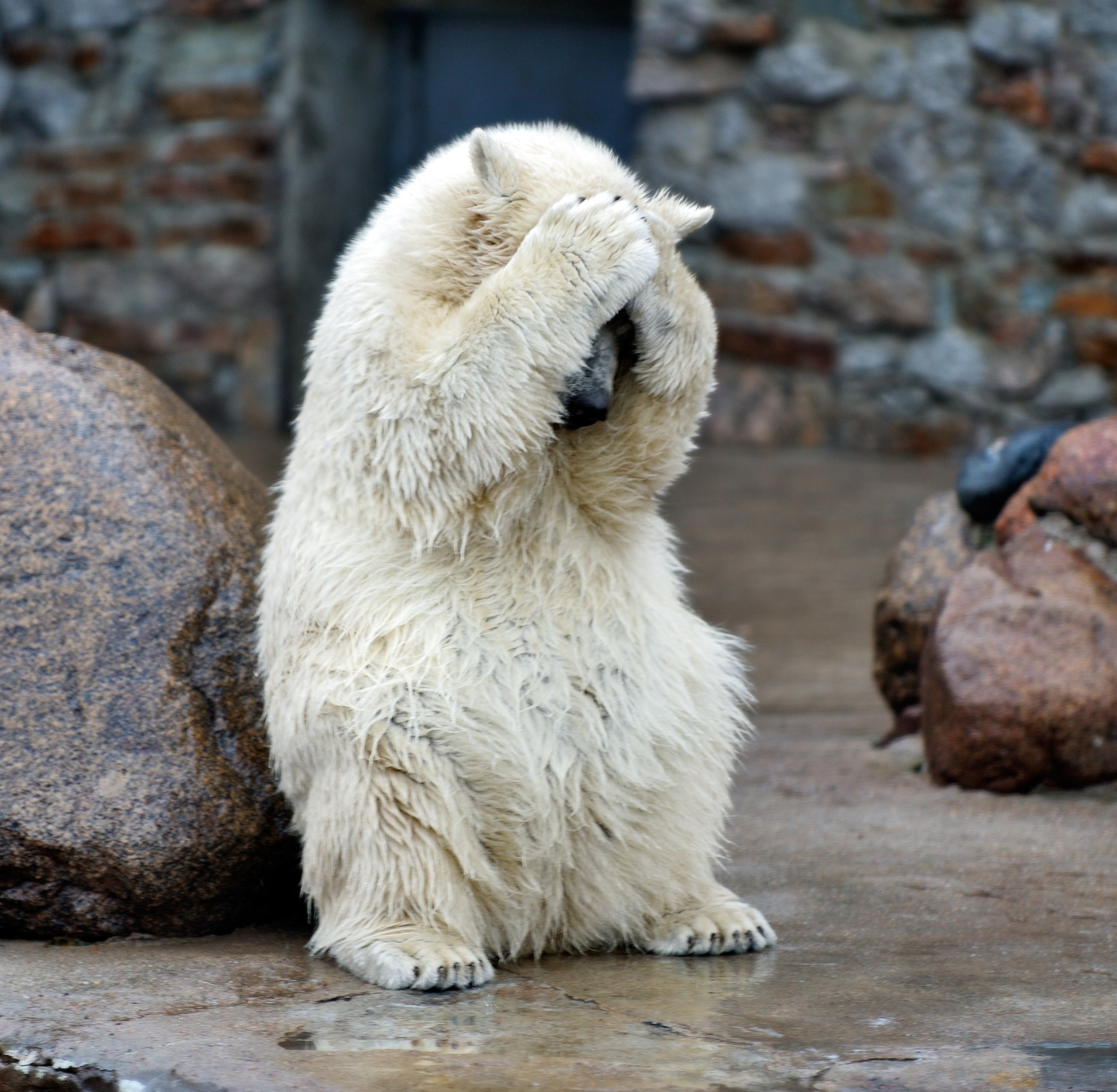 Зима. Пейзажный и предметный фотограф в Санкт-Петербурге Александр Богданов