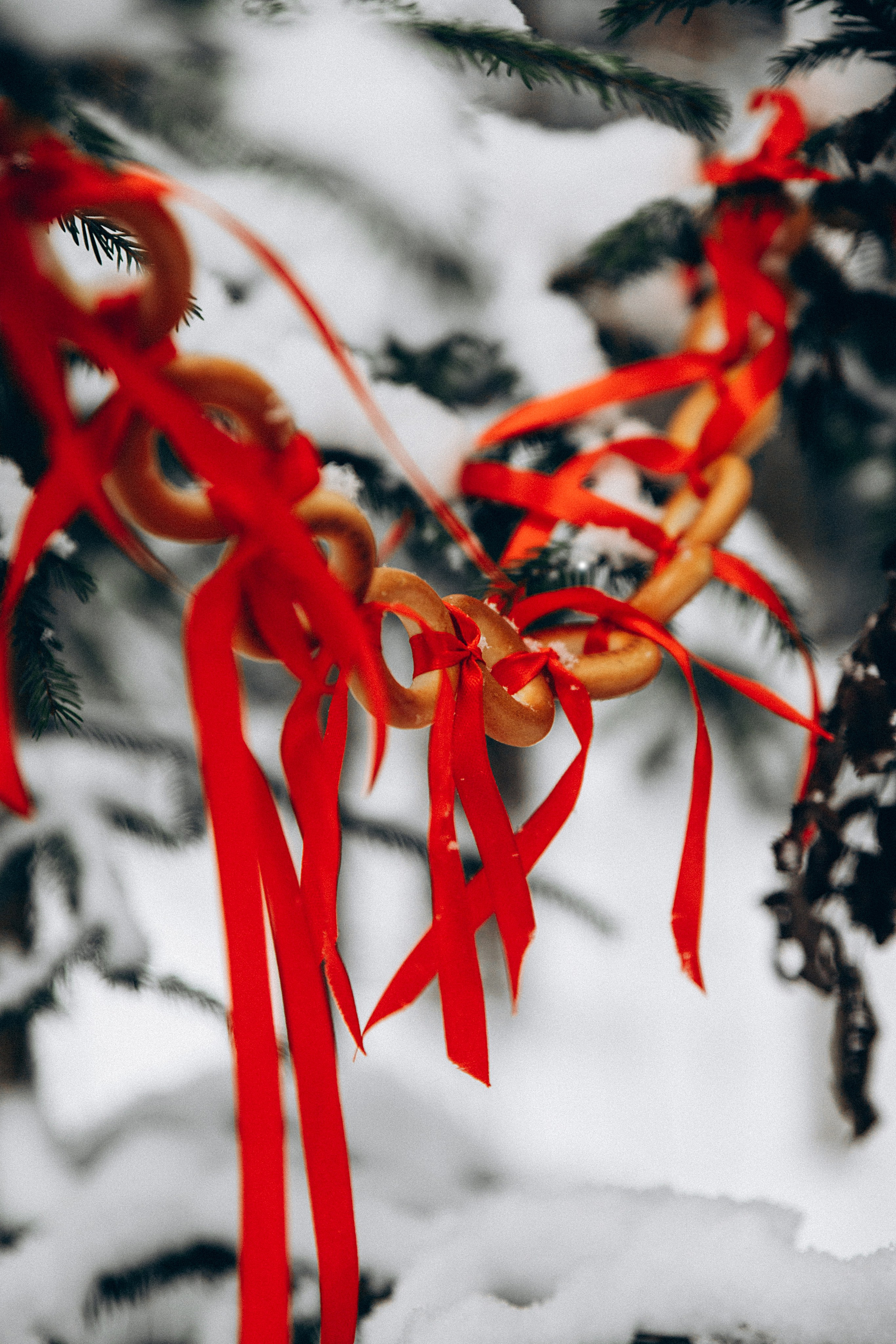 Зимние радости. Репортажный и детский фотограф в Минске