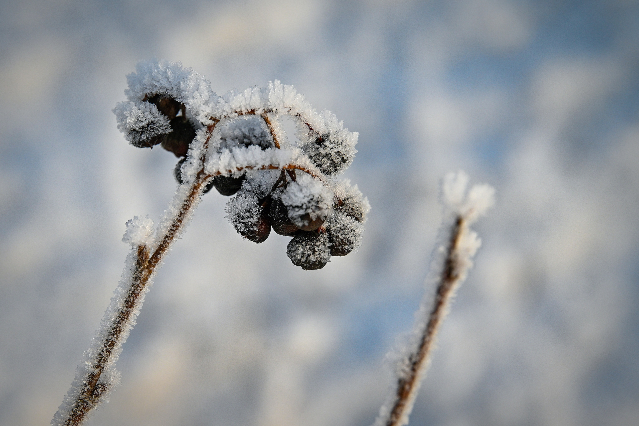 Сибирская зима прекрасна!. FotoGraf