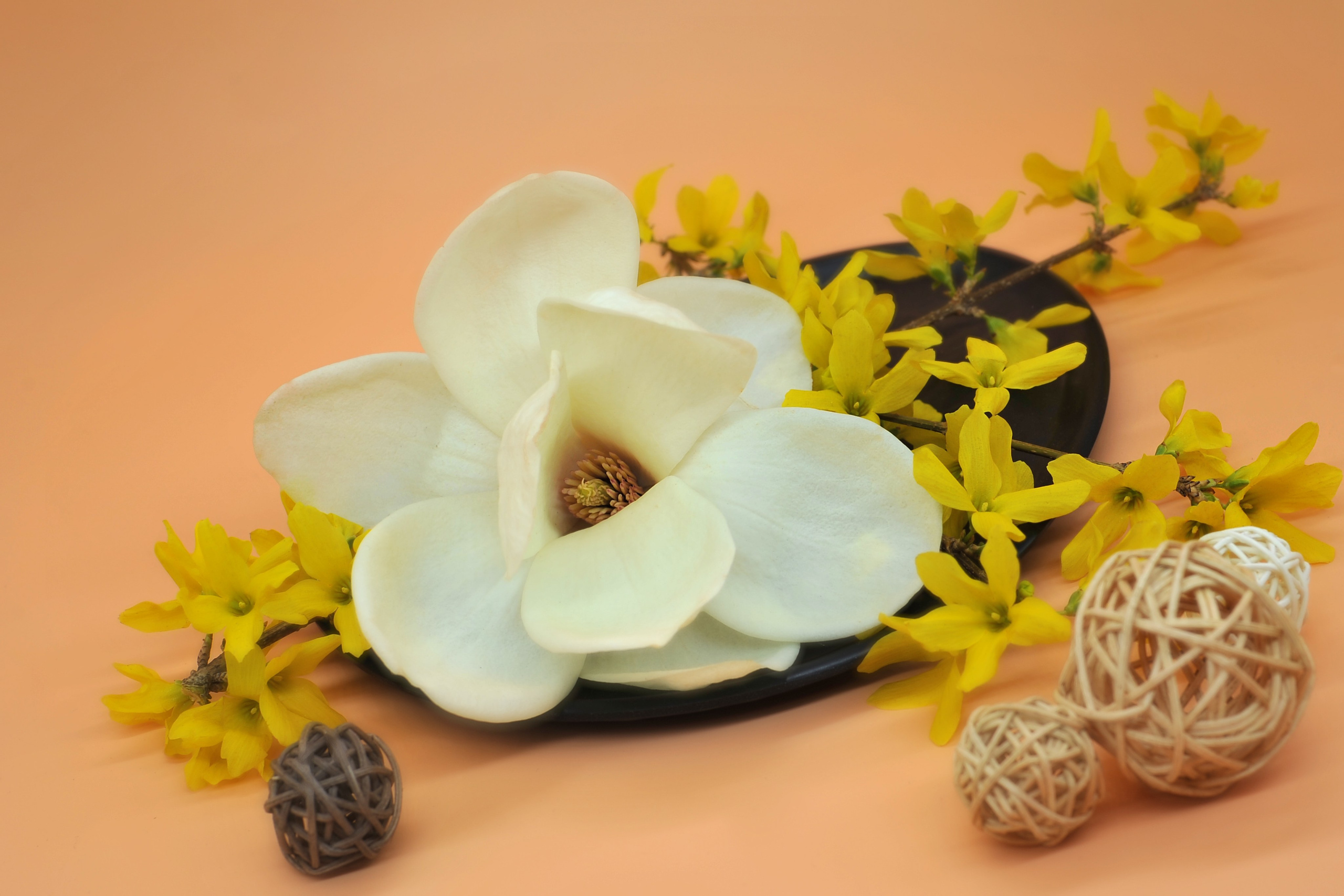 Предметная фотография. FotoGraf