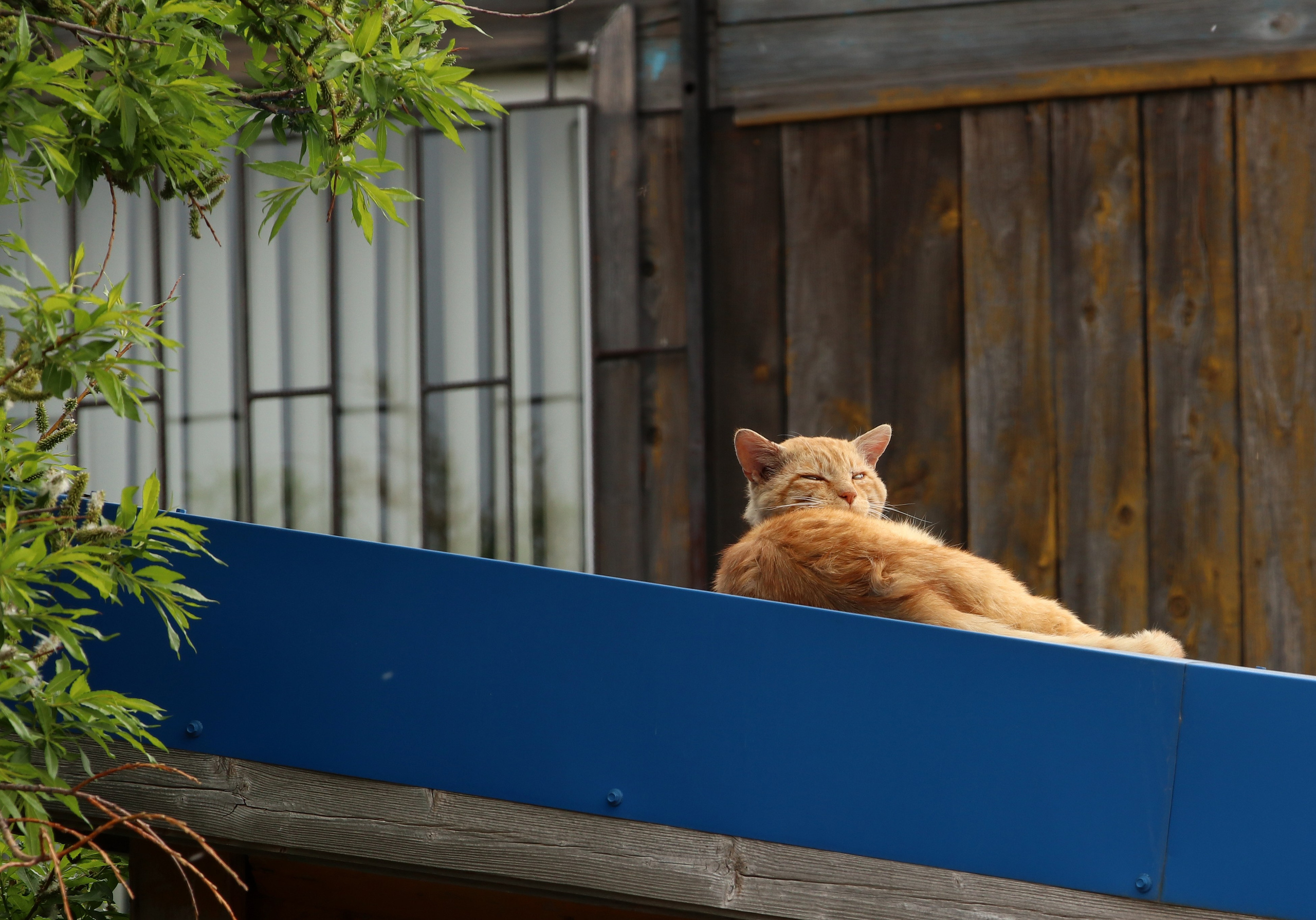 Камчатка и о. Парамушир. Июль 2024. Путешественник-фотограф из Санкт-Петербурга Татьяна Свистулина