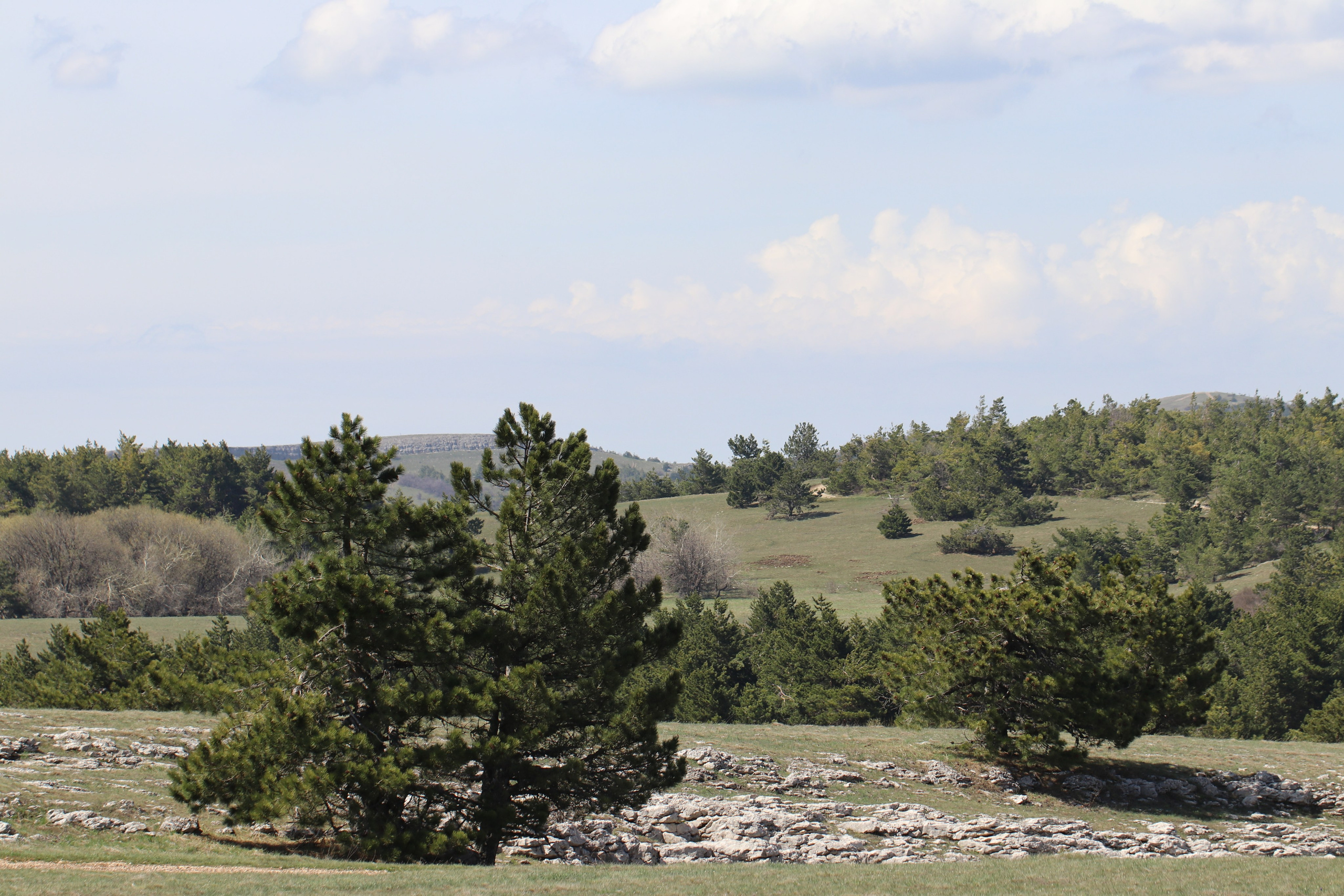 Крым. ЮБК (Бахчисарай, Кастрополь, Таракташская тропа). Май 2021. Путешественник-фотограф из Санкт-Петербурга Татьяна Свистулина