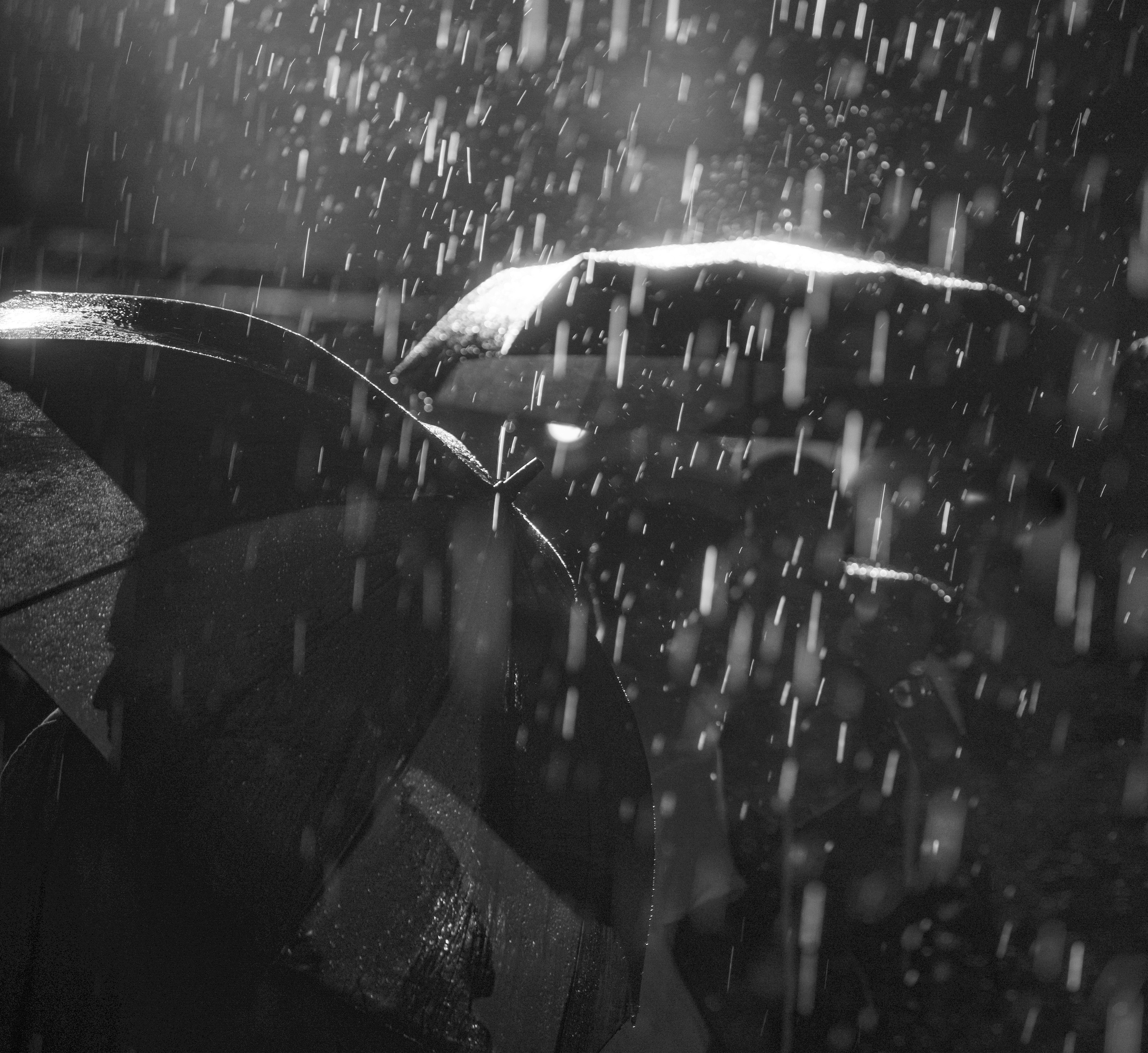 Концерт Oto Nemsadze в Сенаки. Портретный фотограф Денис Милютин