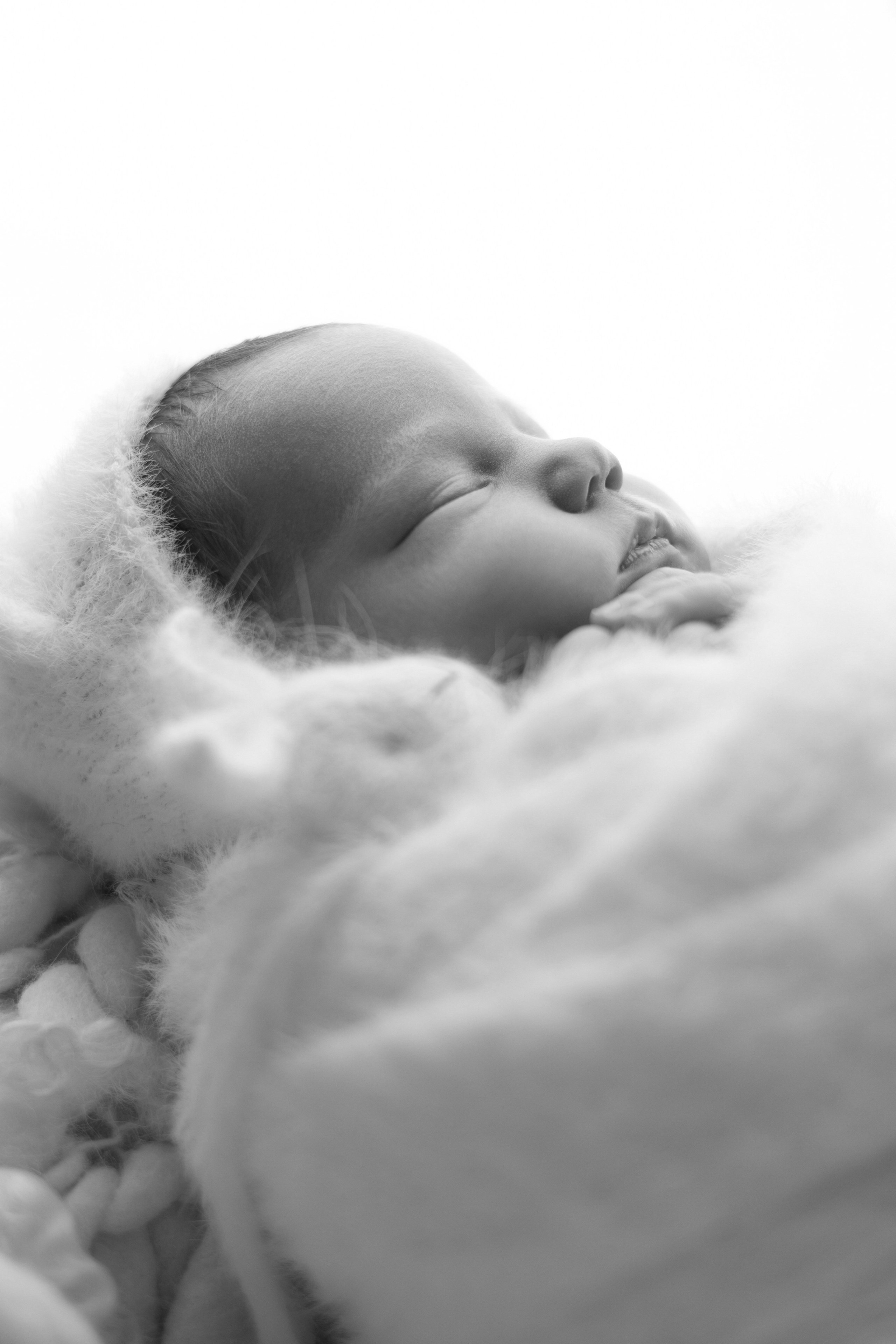 Лев. Лилия Алтухова — фотограф новорожденных в Москве и области