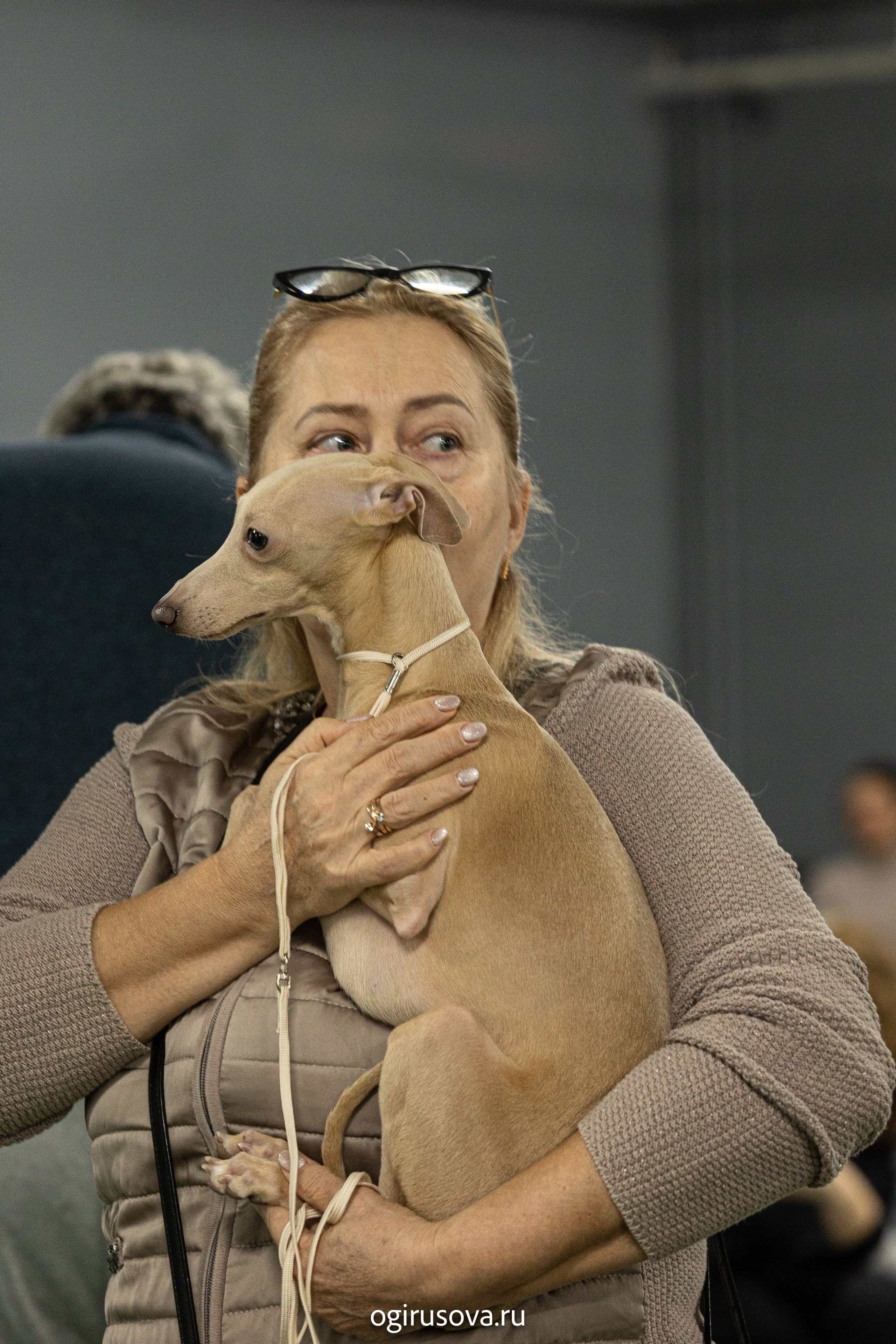 РОО КЛЖ «Олимп"+"Империя"+"Виктория».Выставка собак. Фотограф Ольга Гирусова «Пантерочка» Москва