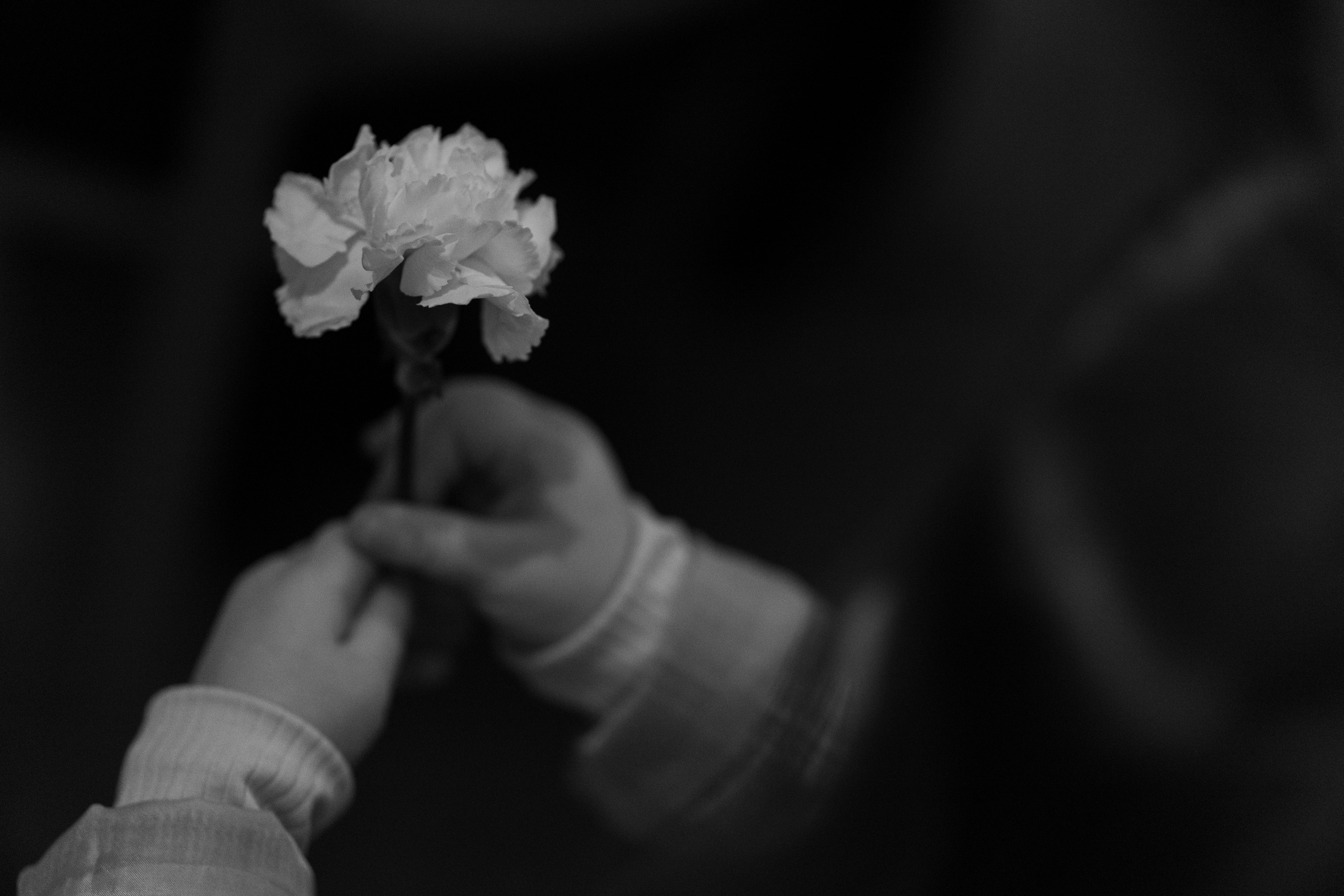 Александра и Костя, Грибоедовский Загс. Свадебный фотограф | Москва