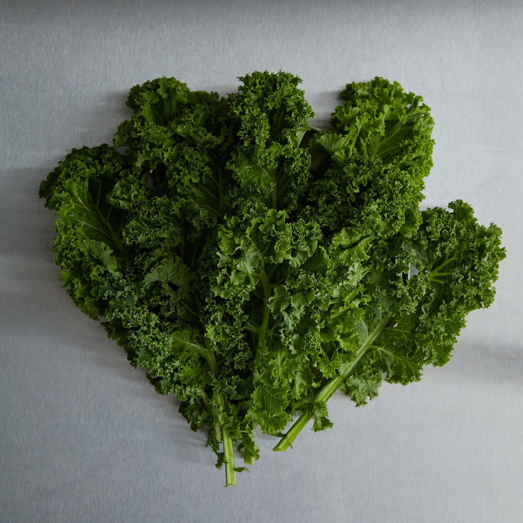 Свадебный и портретный контент фотограф Элиста Калмыкия Эрдни Панчуров 