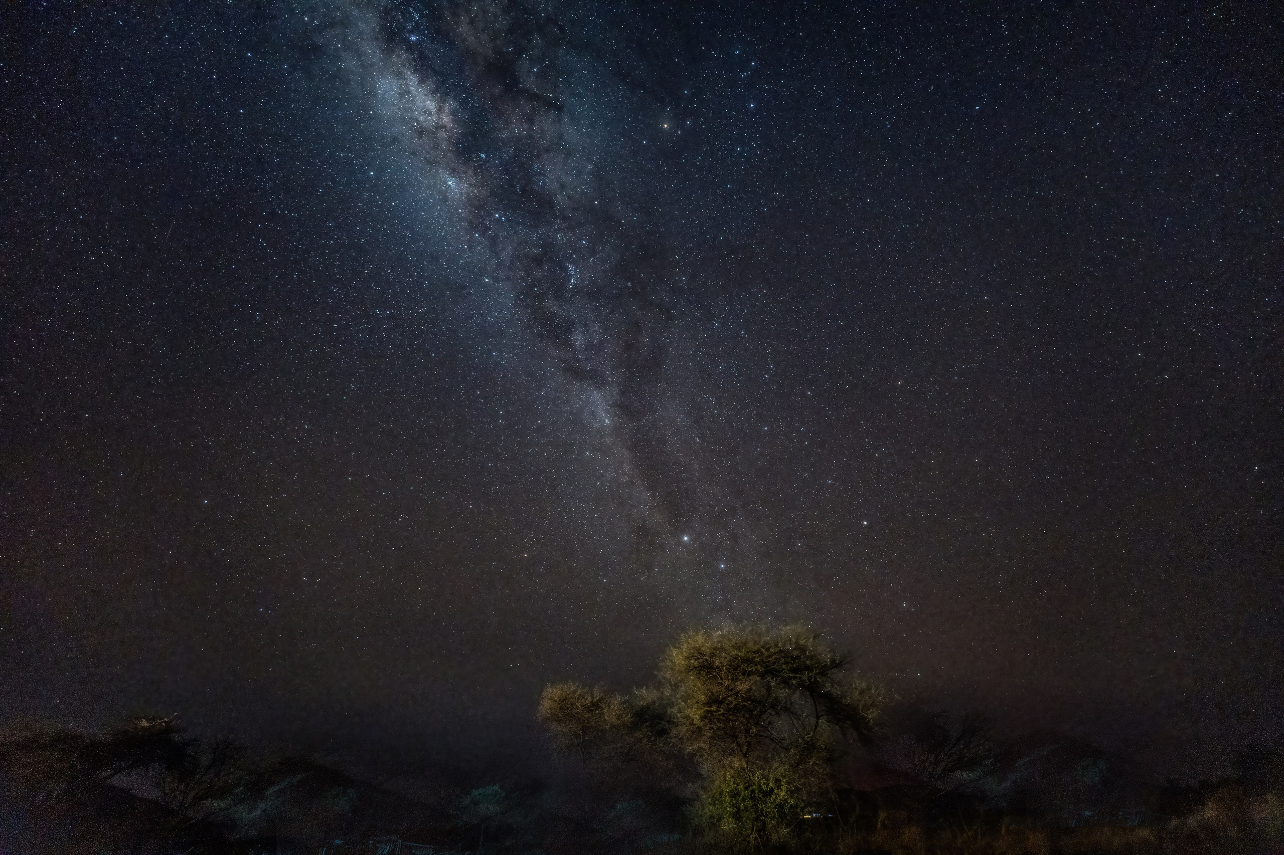 Танзания, сафари, 2025. Творческие сьемки