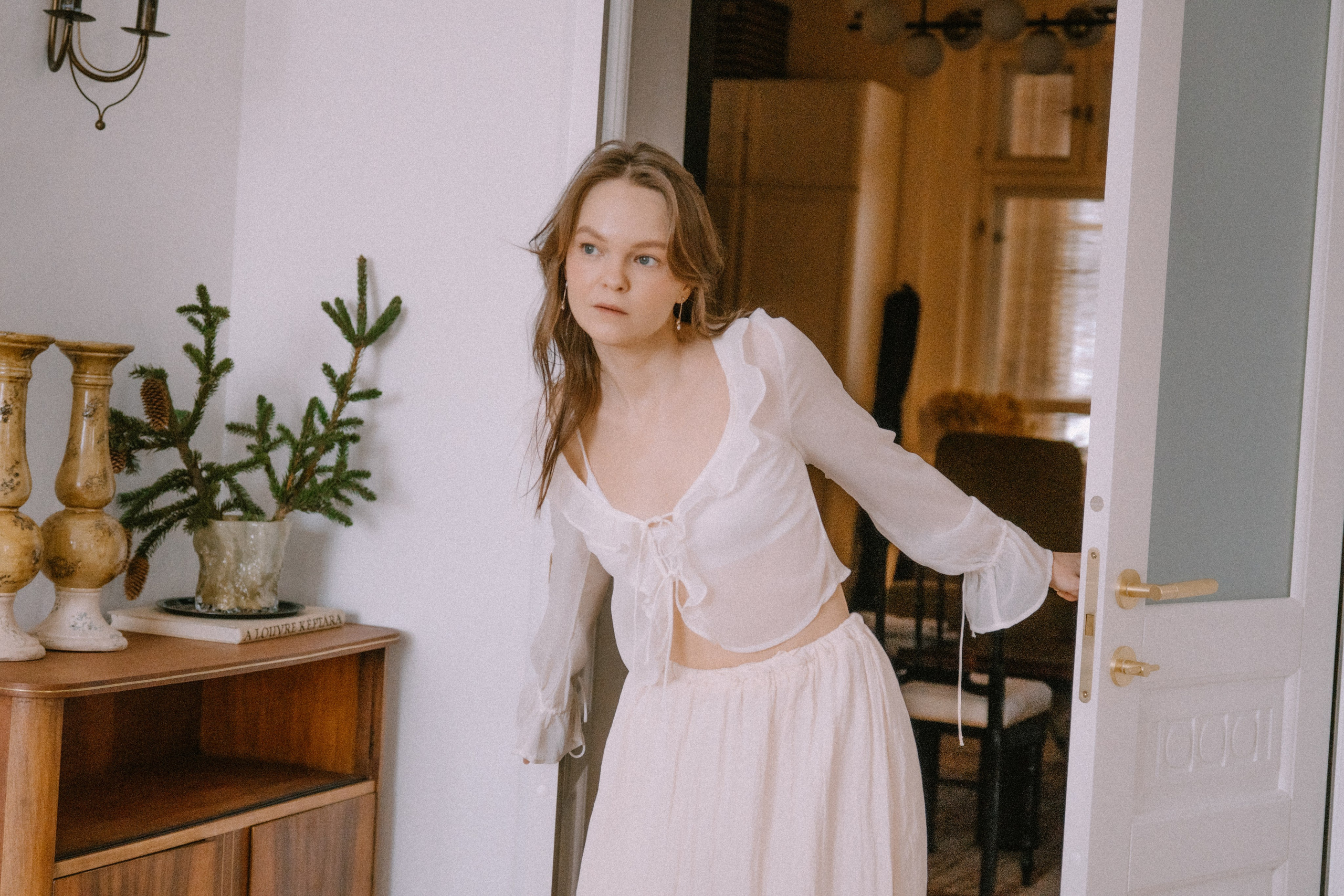 Домашняя серия