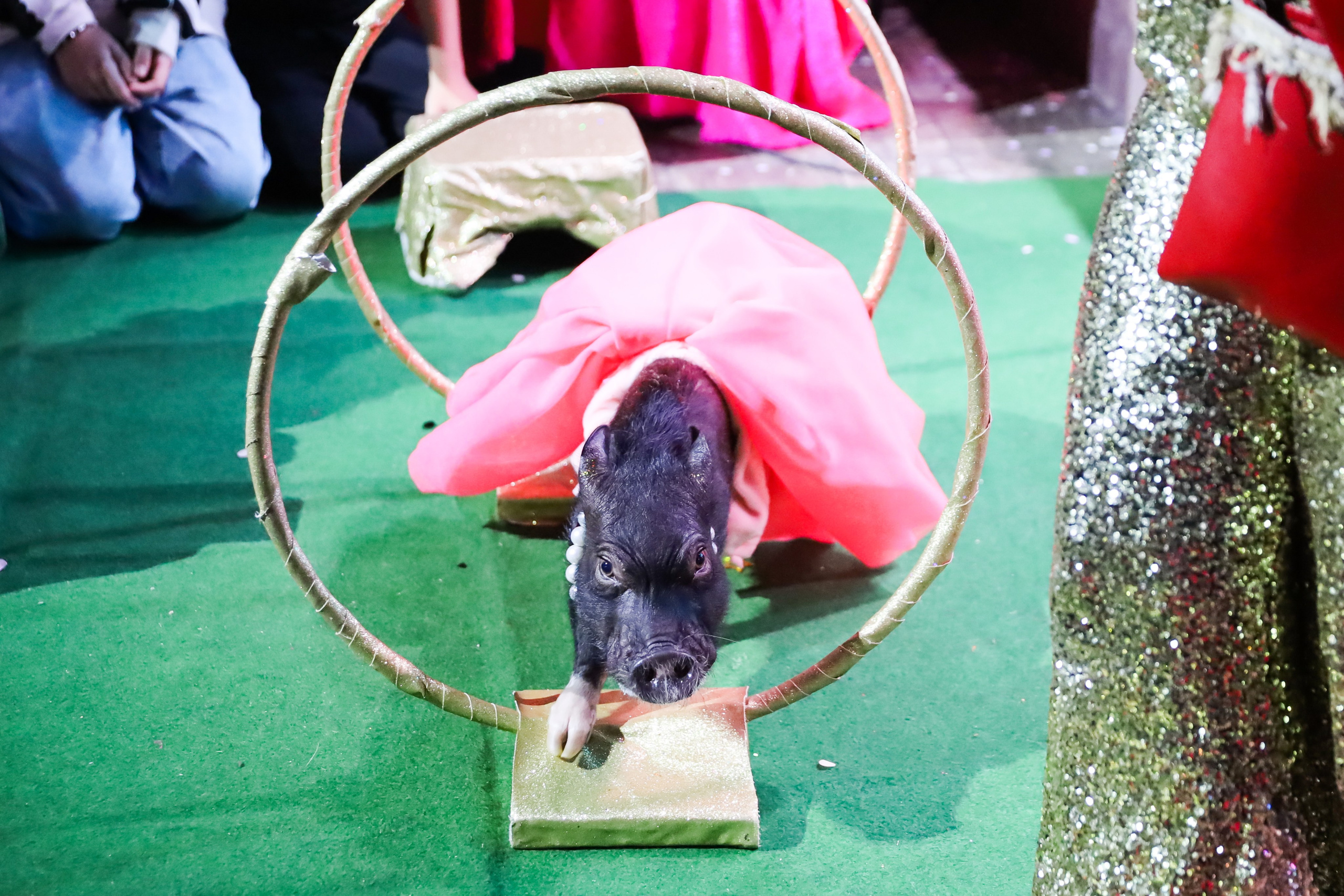 ДЕНЬ РОЖДЕНИЯ ЕВЫ В КРБ. Фотограф мероприятий Ирина Каширина