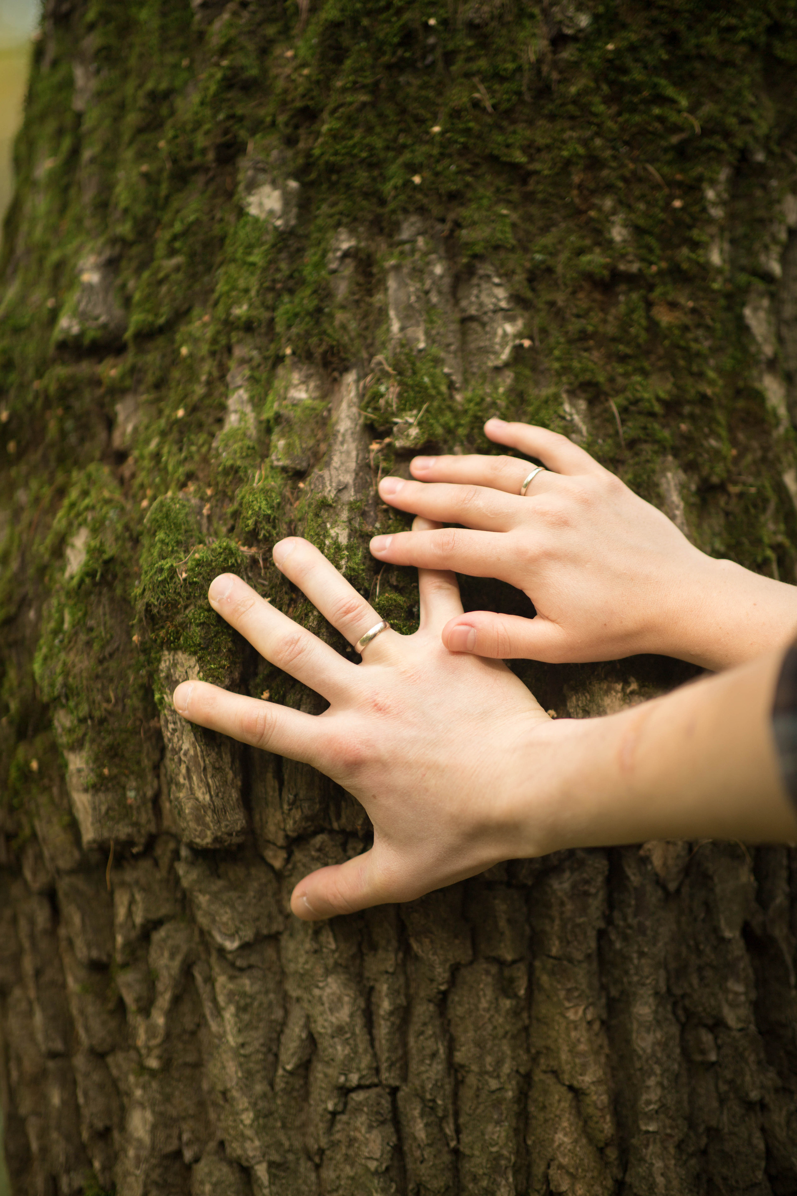 Людмила и Алексей. Семейный и портретный фотограф в Москве Елена Флегант