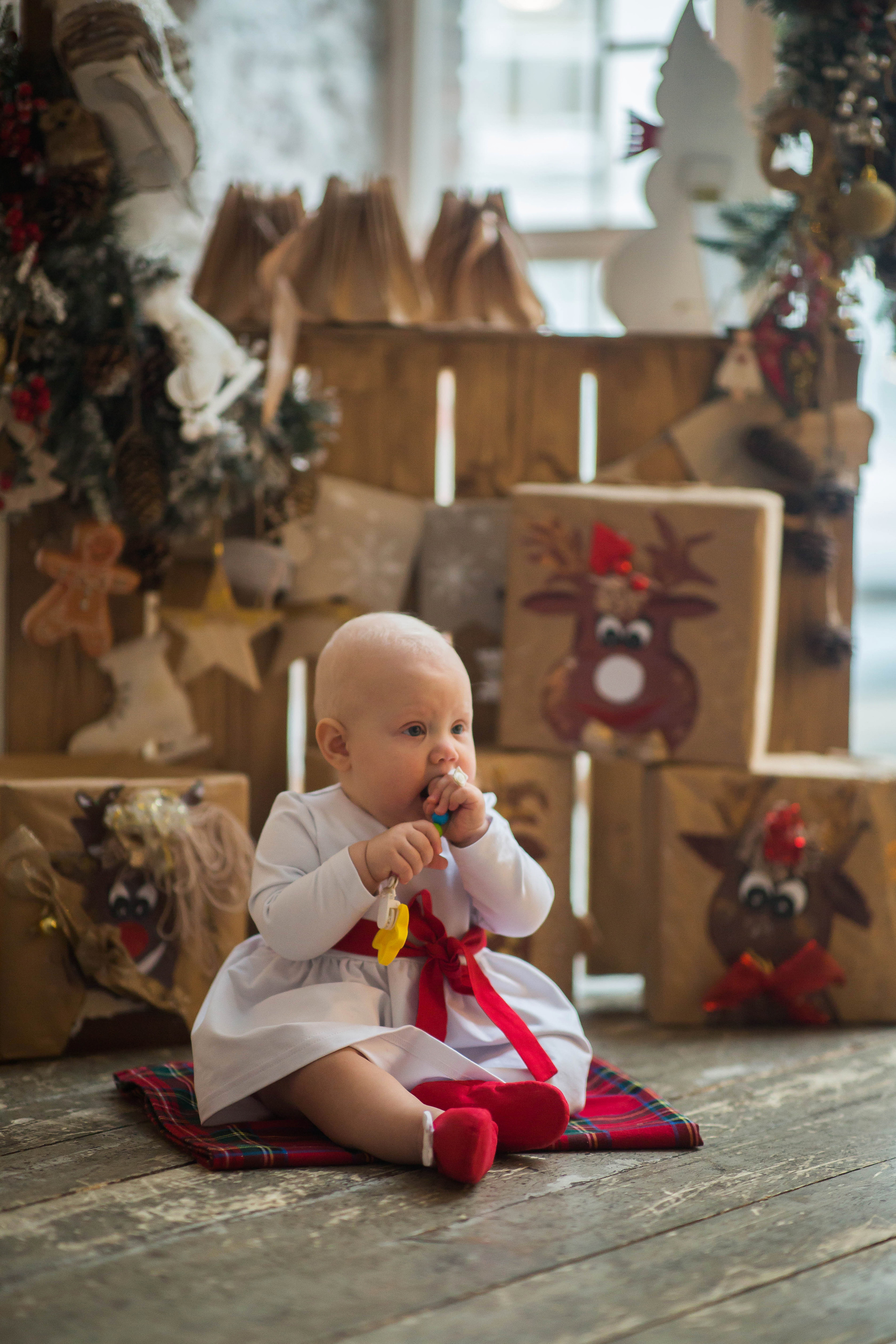Новогодняя студийная фотосессия. Семейный и портретный фотограф в Москве Елена Флегант