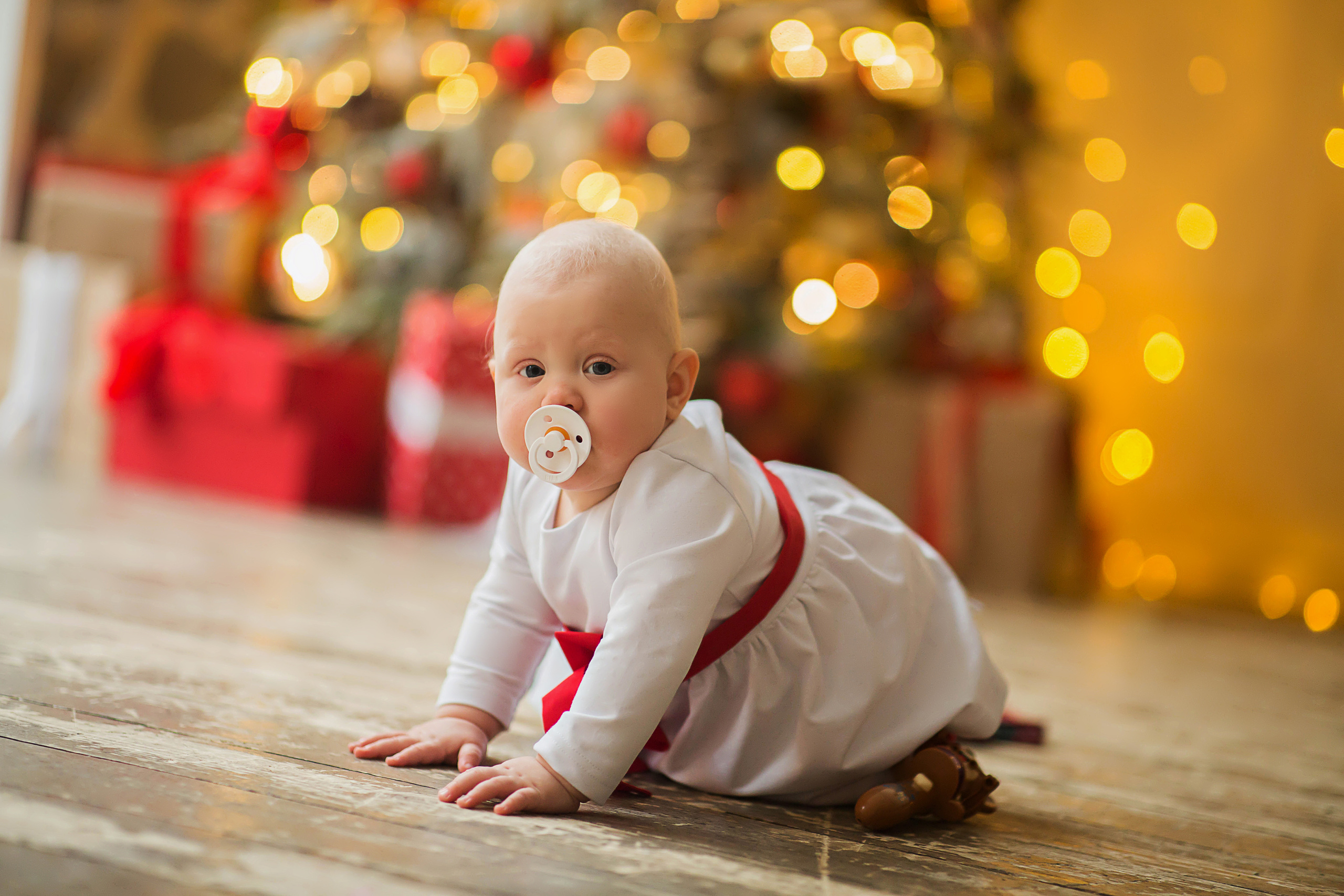 Новогодняя студийная фотосессия. Семейный и портретный фотограф в Москве Елена Флегант