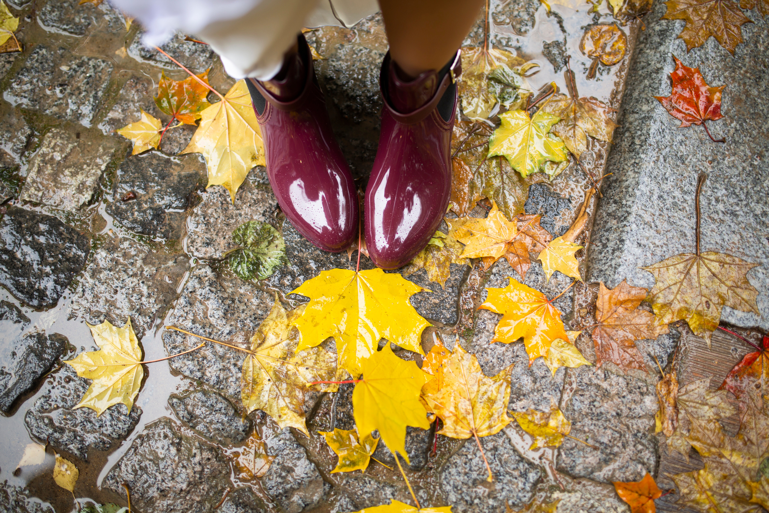 Осенняя свадьба в дождь. Семейный и портретный фотограф в Москве Елена Флегант
