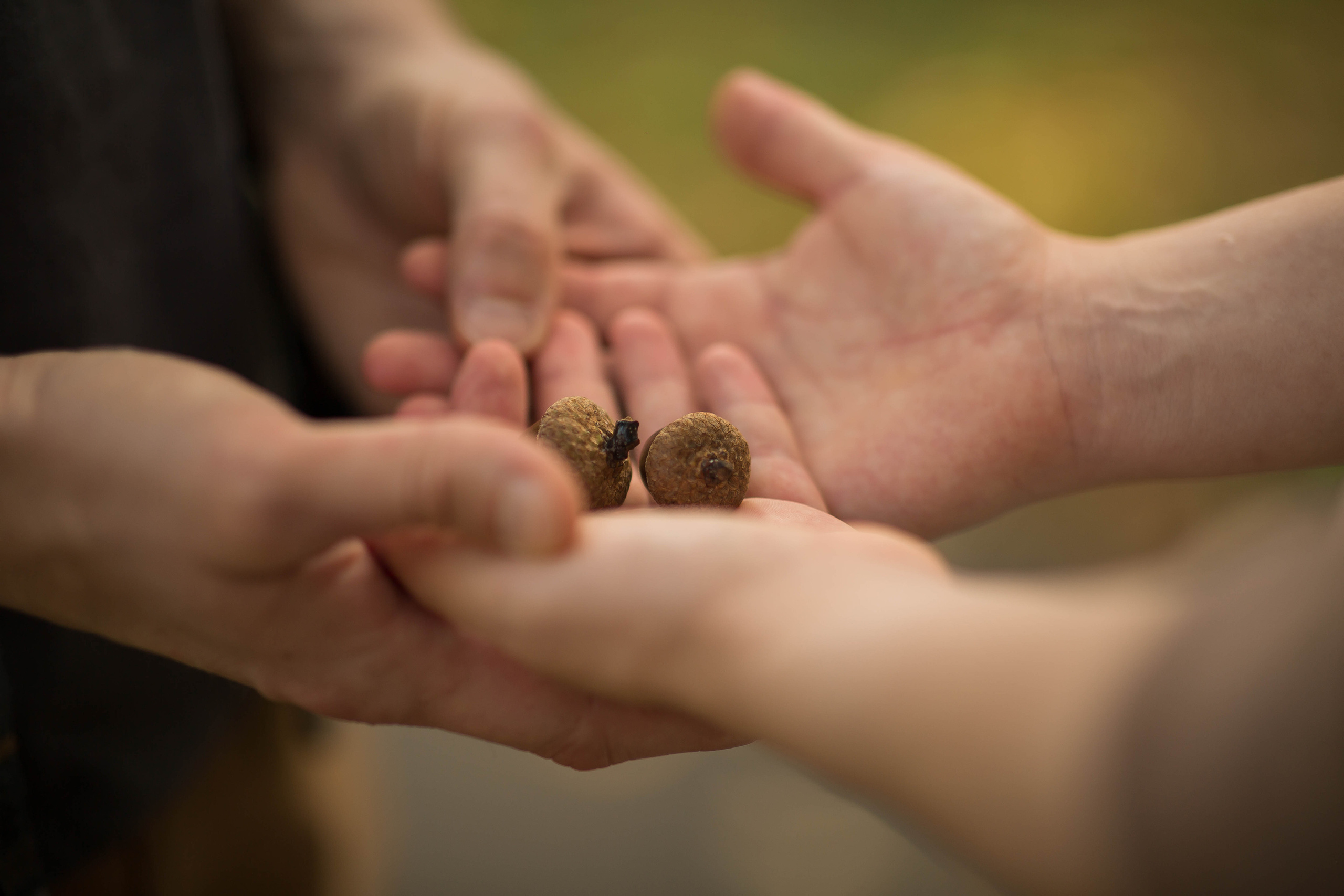 Людмила и Алексей. Семейный и портретный фотограф в Москве Елена Флегант