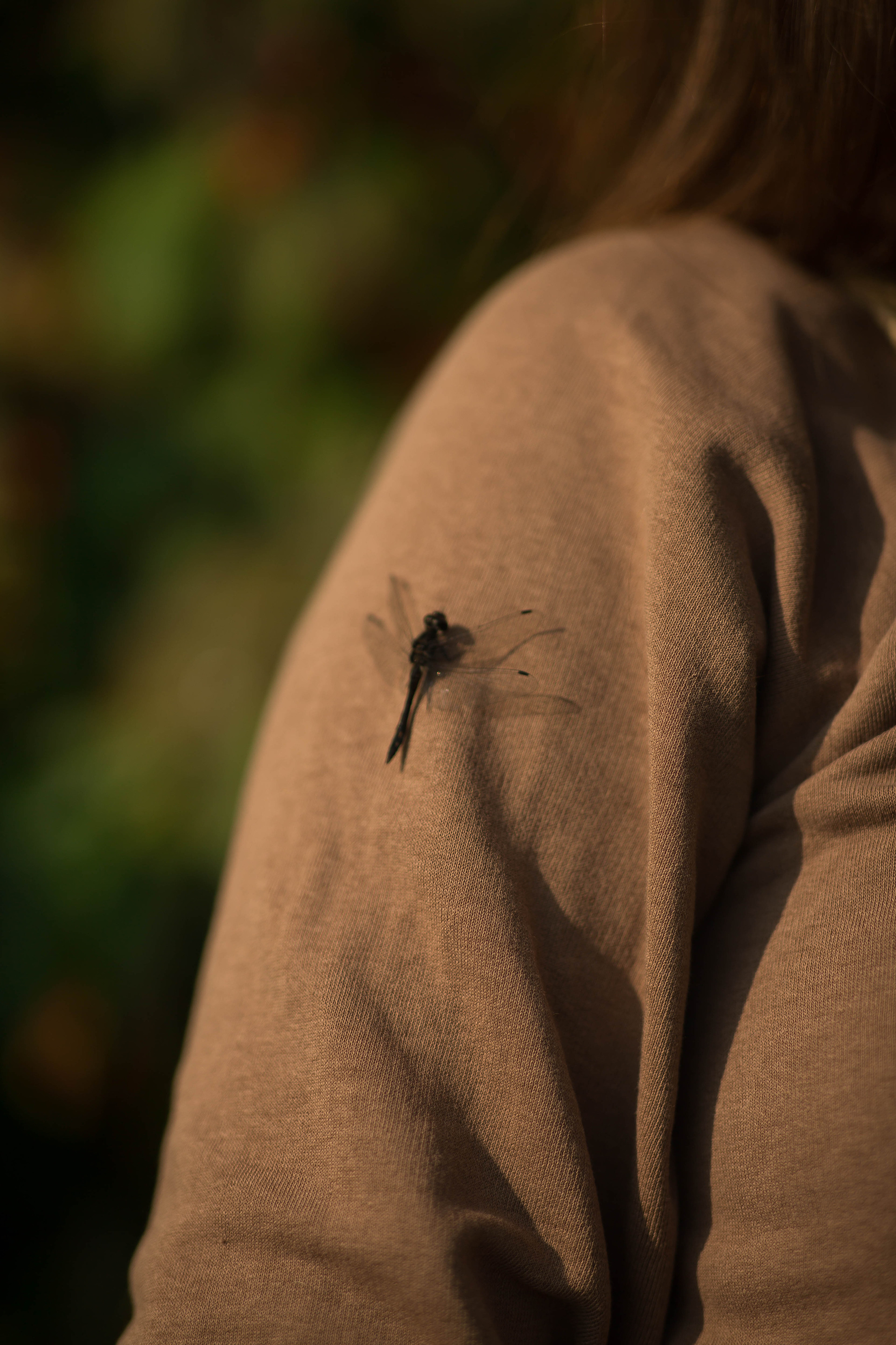 Людмила и Алексей. Семейный и портретный фотограф в Москве Елена Флегант