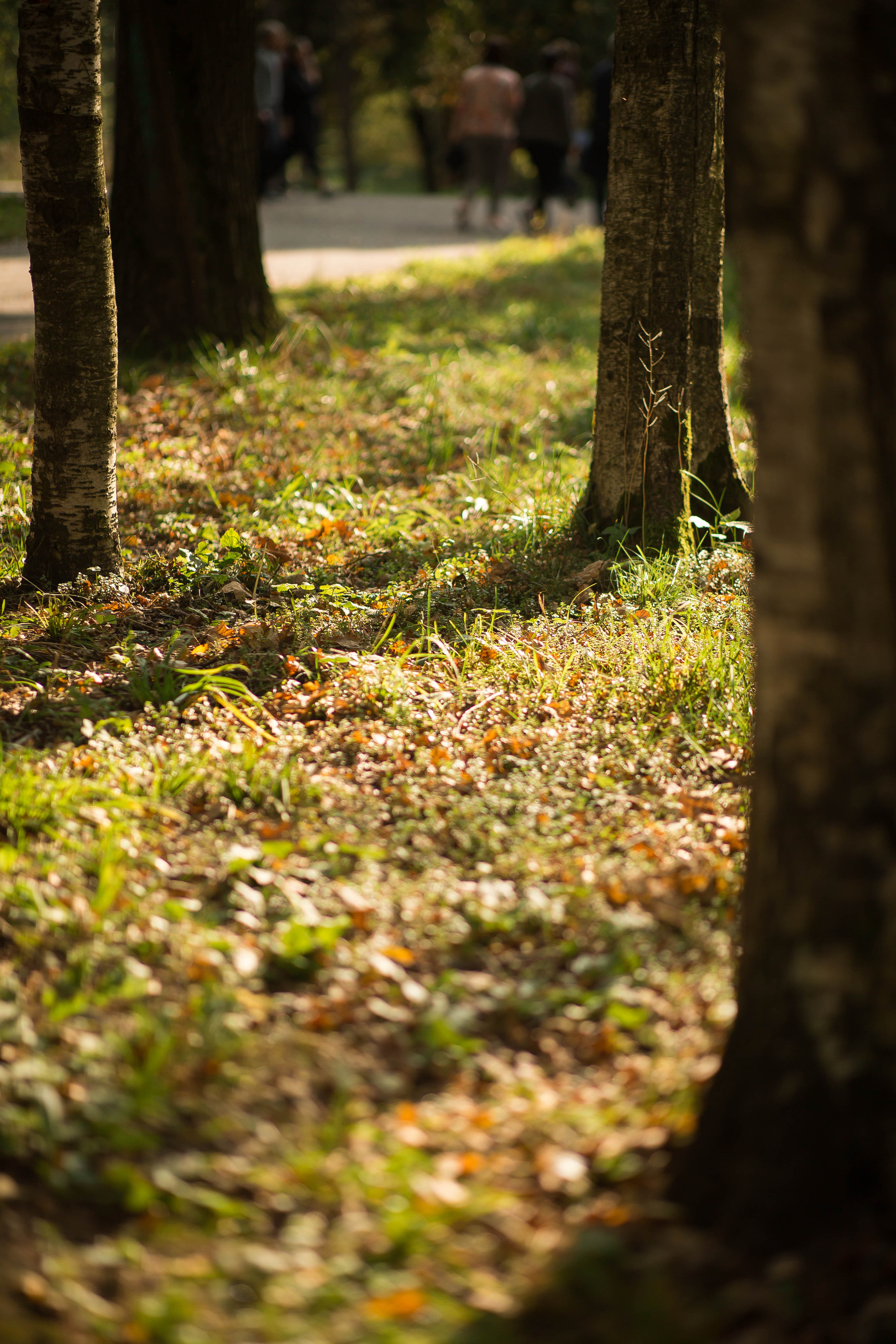Людмила и Алексей. Семейный и портретный фотограф в Москве Елена Флегант