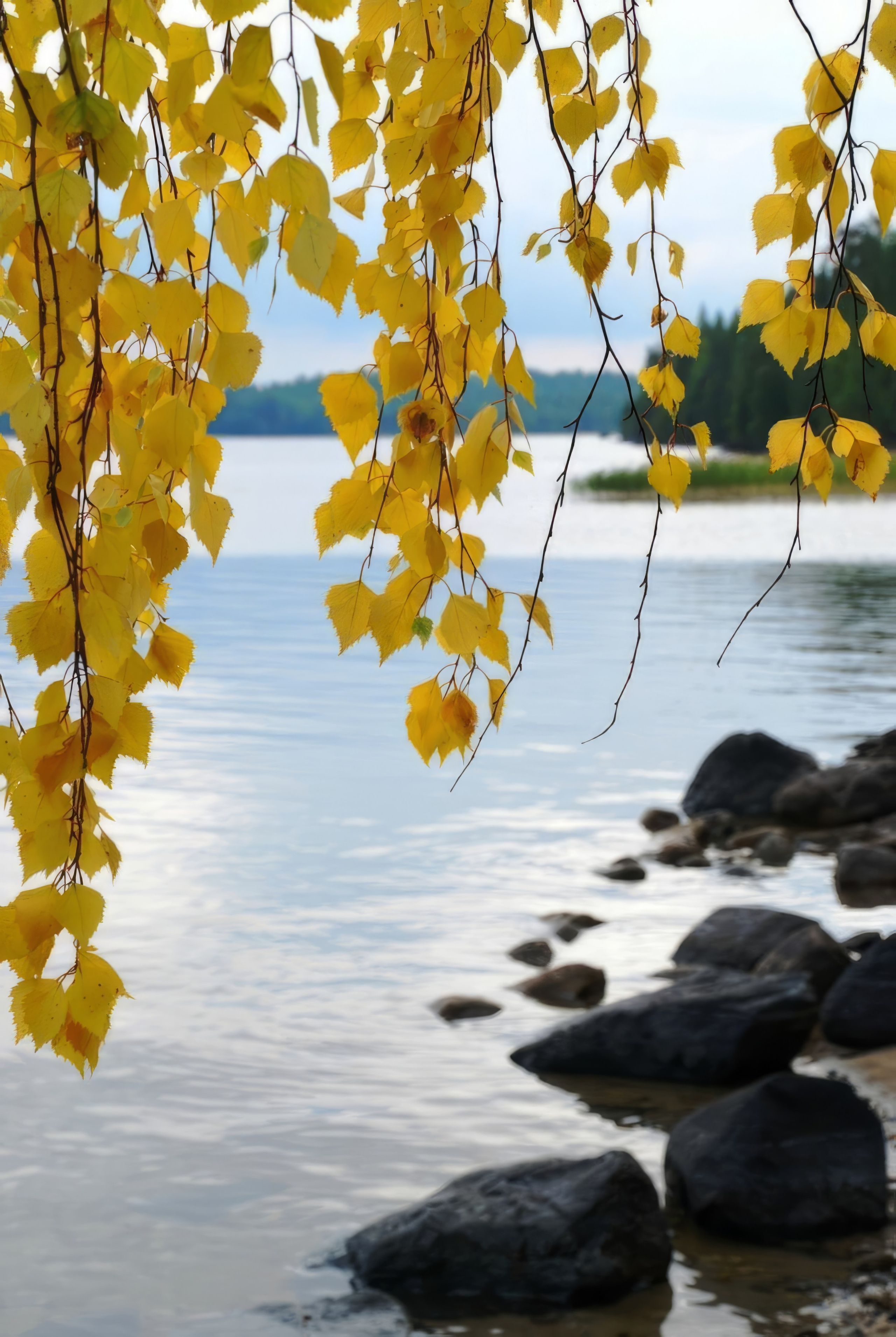Пейзажи — авторская художественная фотография Ма. Ма