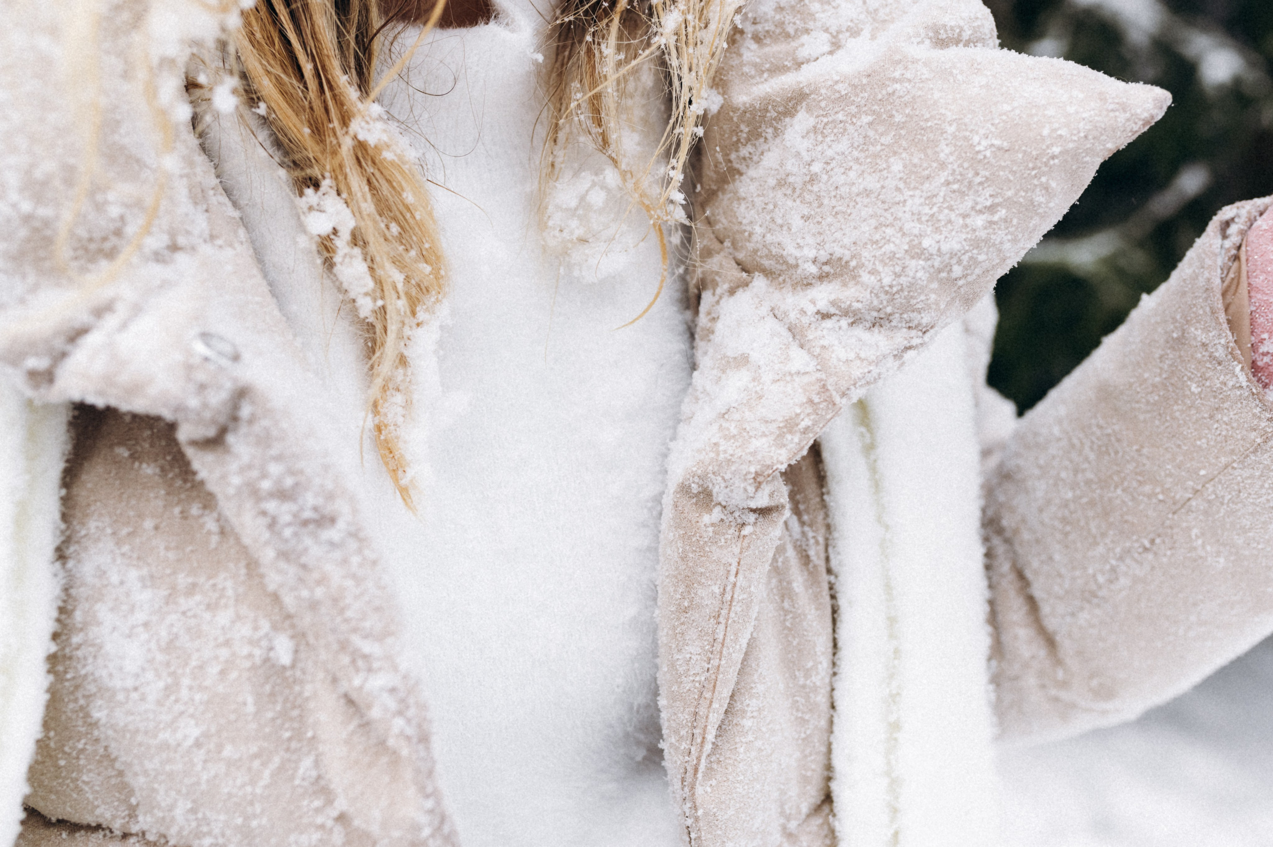 Аня и Милан. Фотограф анималист в Москве Ольга Агушева