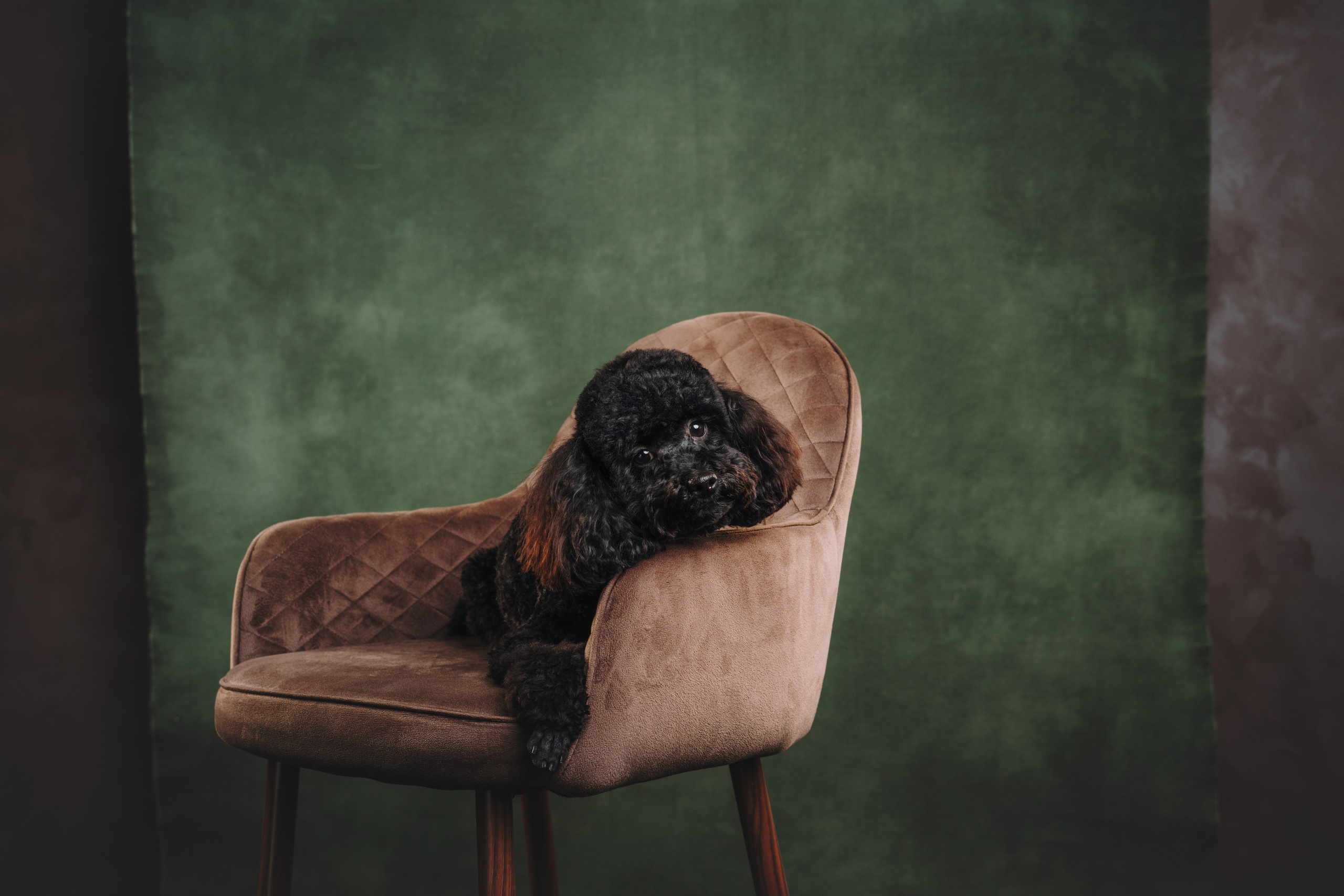 Ярослава и Туча. Фотограф анималист Осипчикова Мария