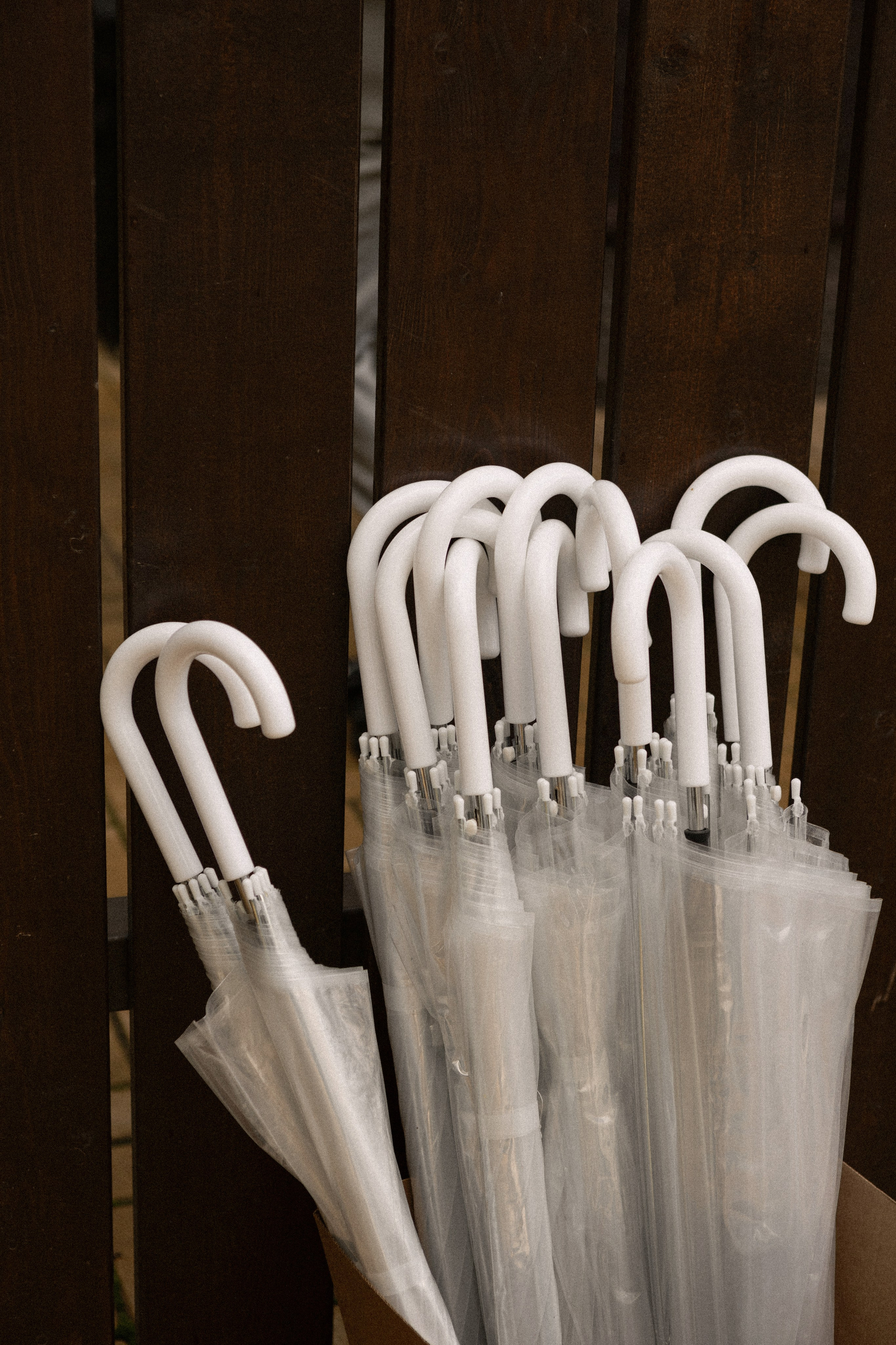 Дмитрий и Алена. Фотограф Валерия Шубина