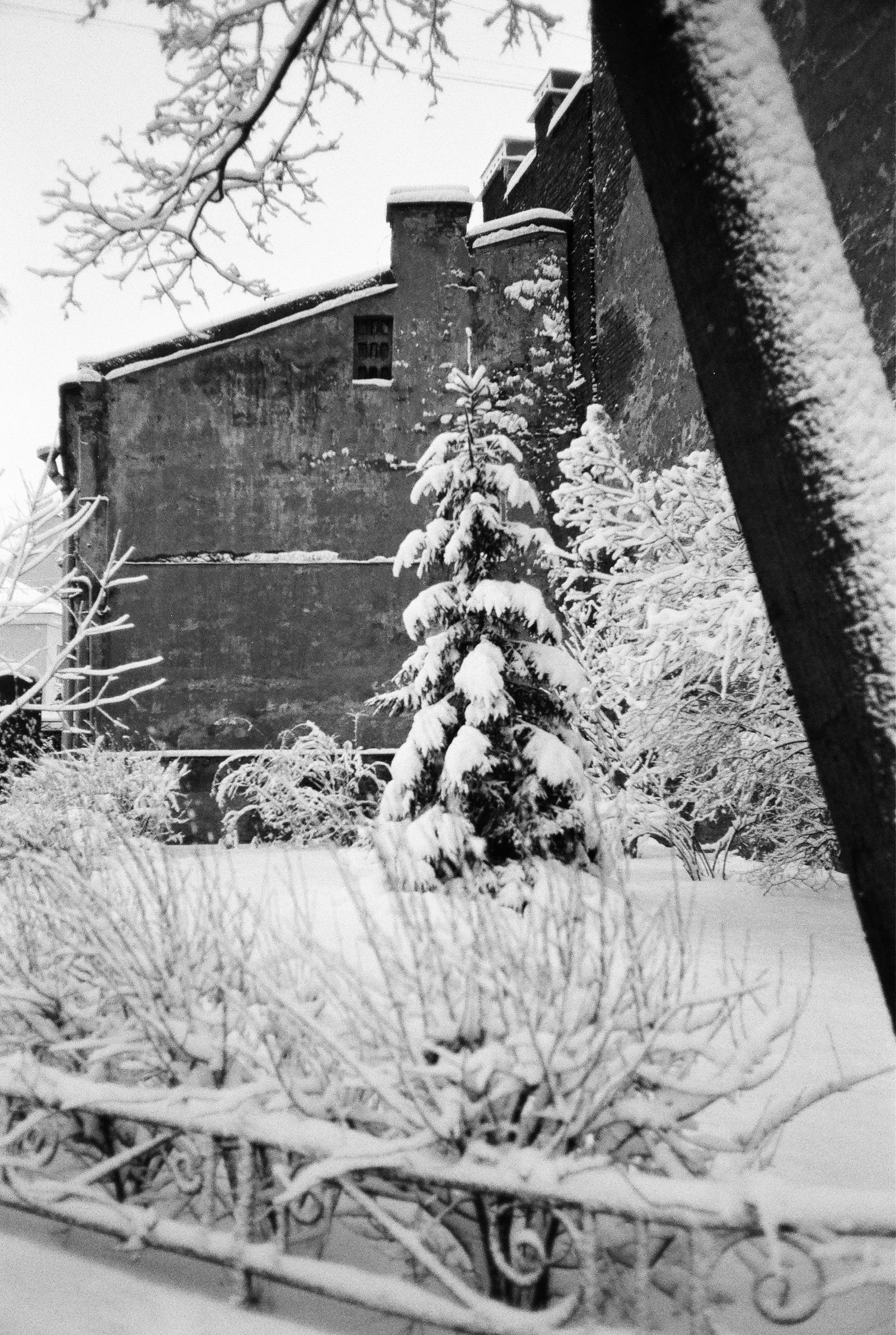 Фотографии черно-белые. Свадебный и семейный пленочный фотограф в Петербурге Истомина Ирина