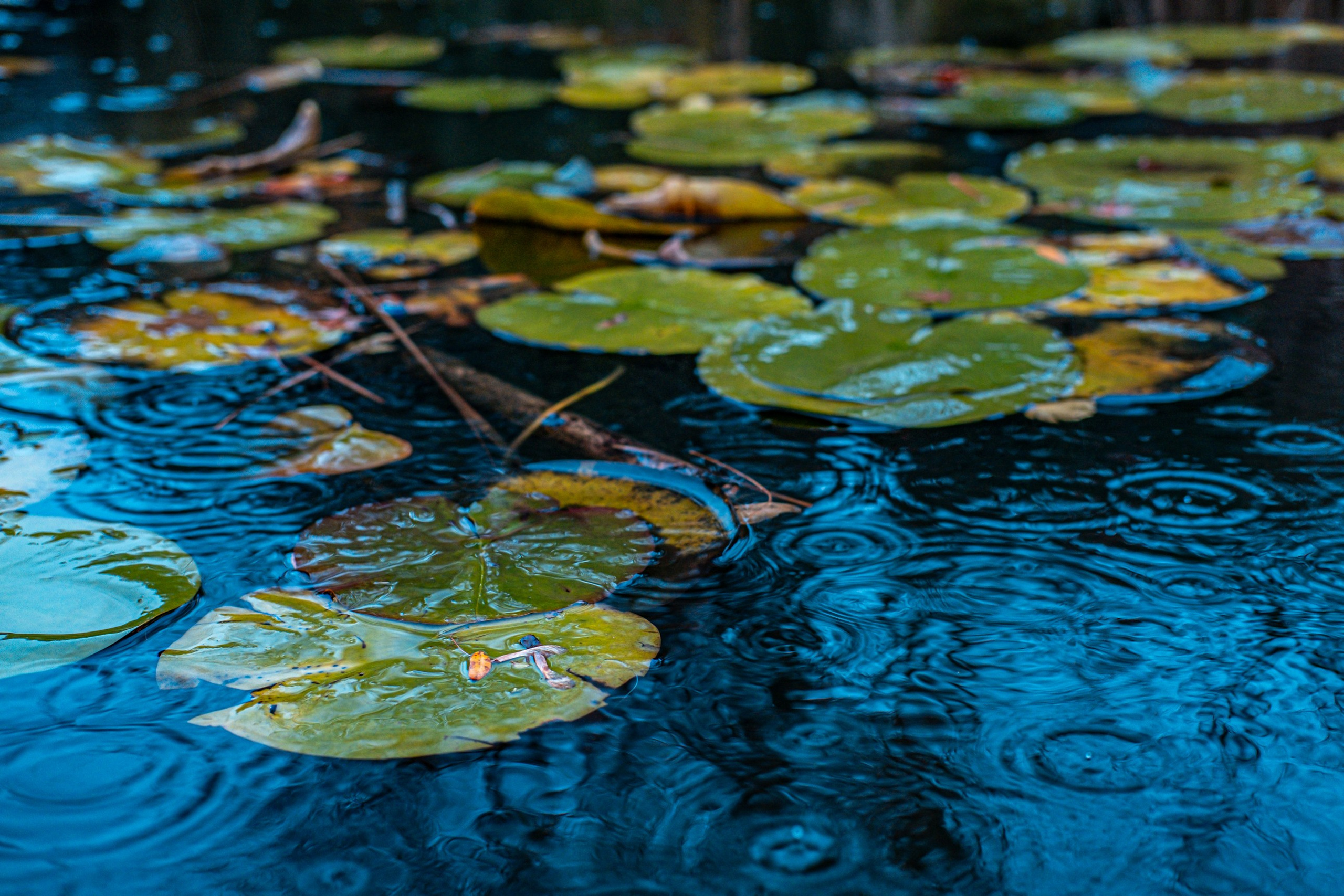 Пейзажная фотография