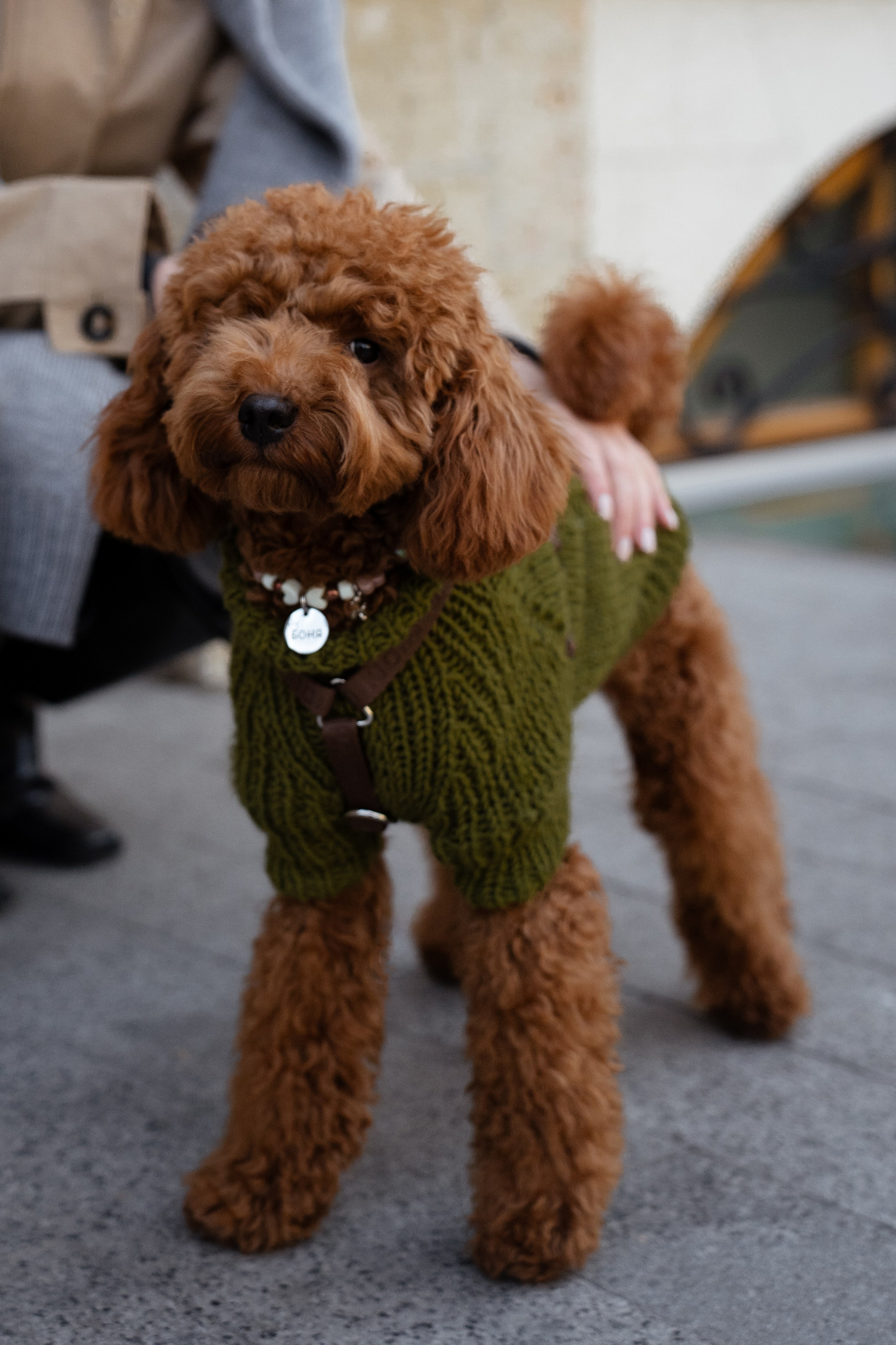 Таня и Боня. Фотограф Севастополь — Климова Анастасия