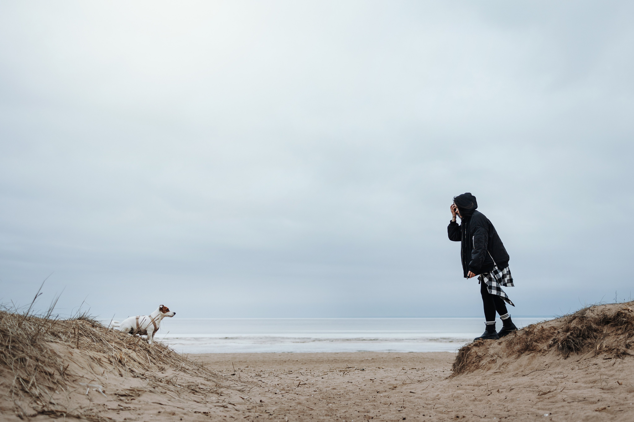 Саша и Джеки. Фотограф — Анималист | Санкт-Петербург