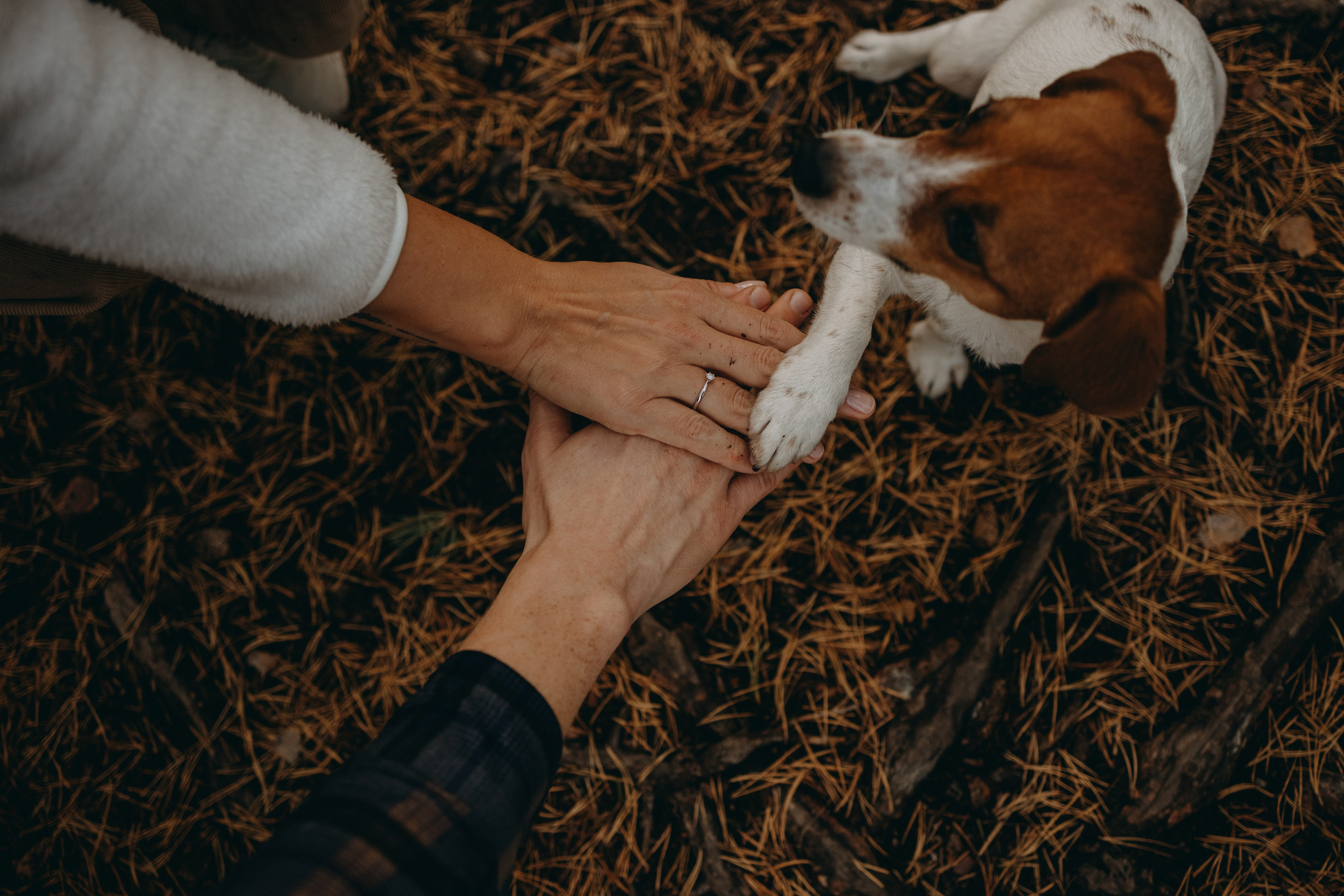 Лея и ее семья. Фотограф — Анималист | Санкт-Петербург