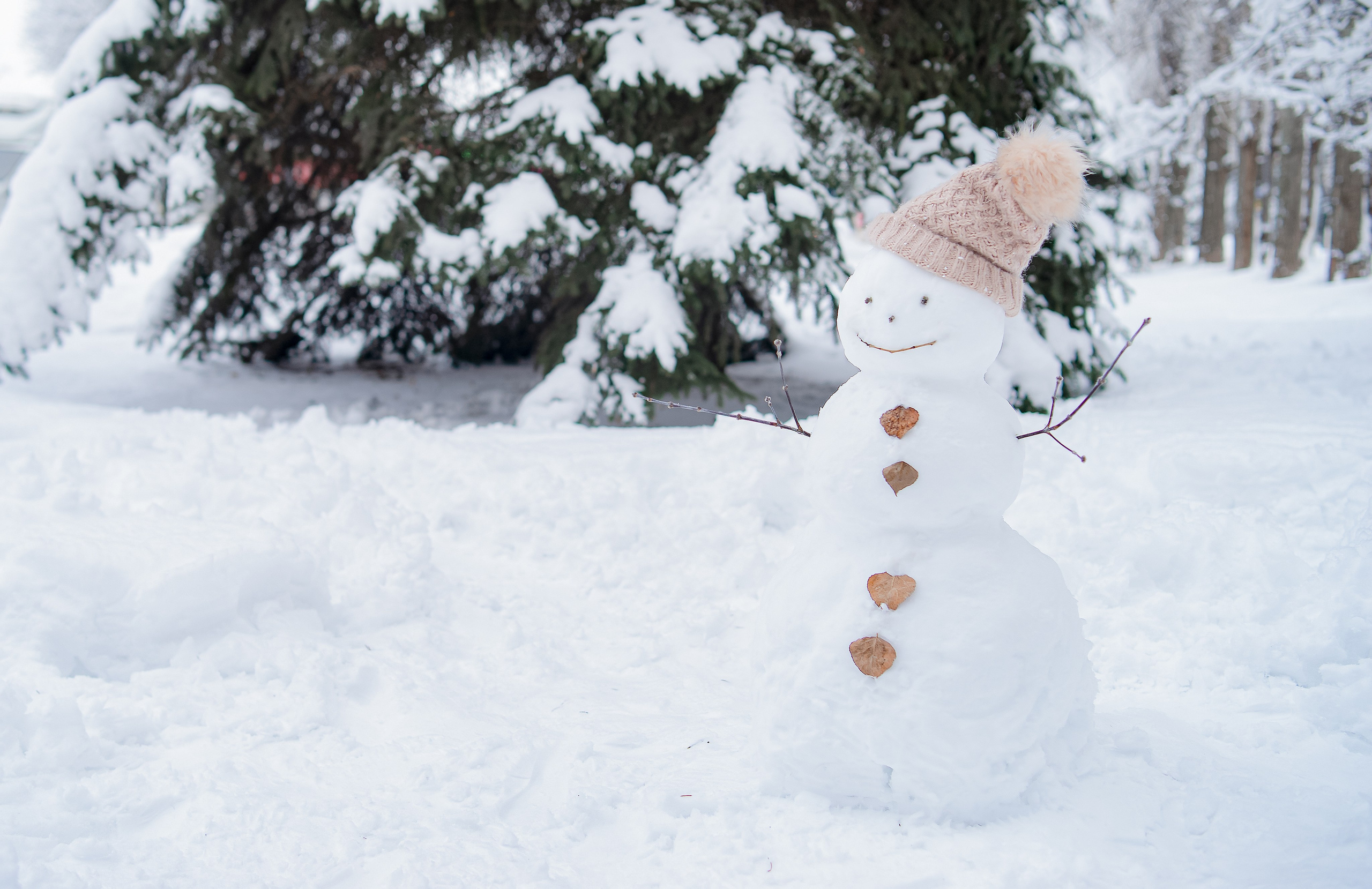 Снеговик. Фотограф Людмила Панюхина г. Нижний Новгород