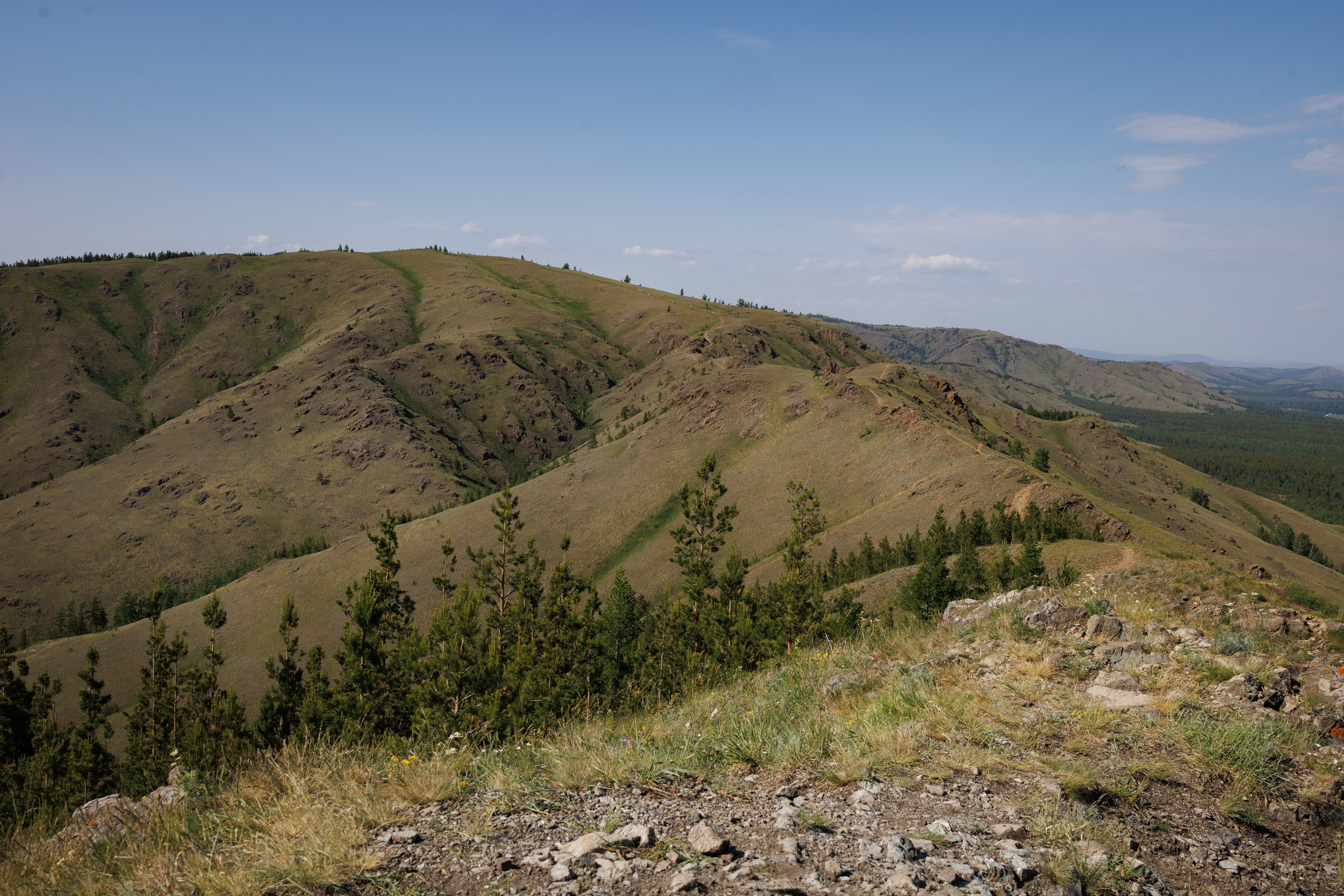 Курташ, Нурали. Александр Абдураманов